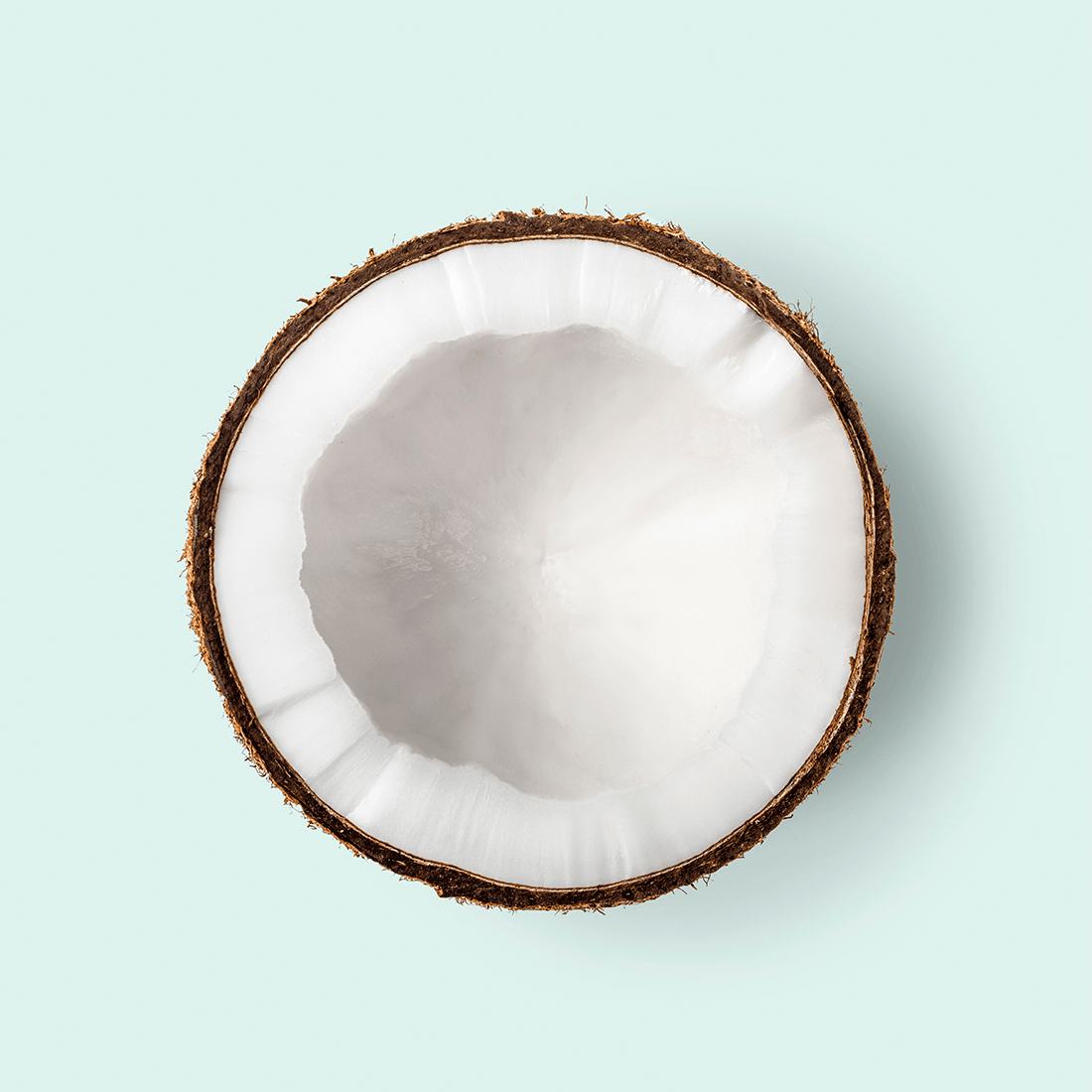 Coconut