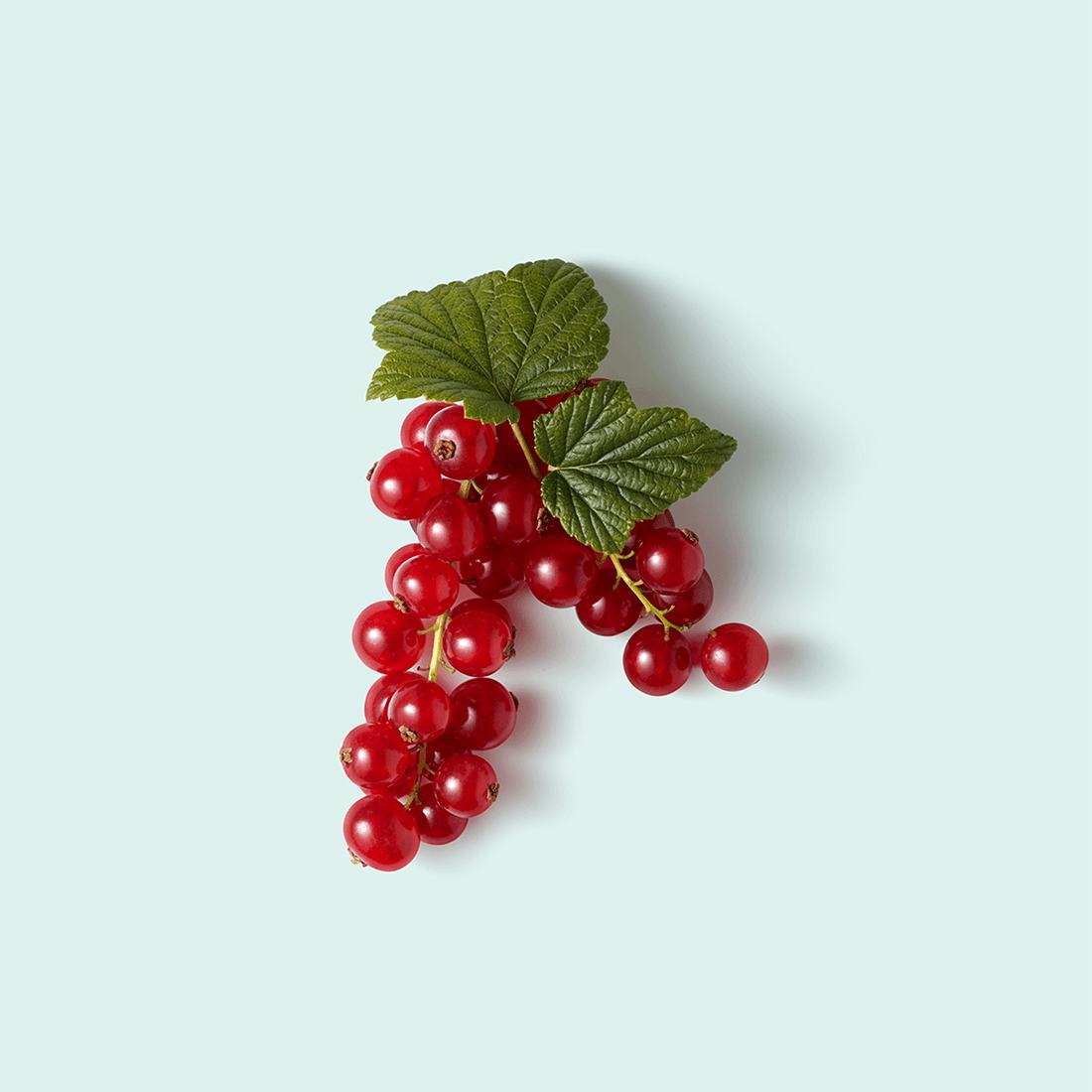 Redcurrant