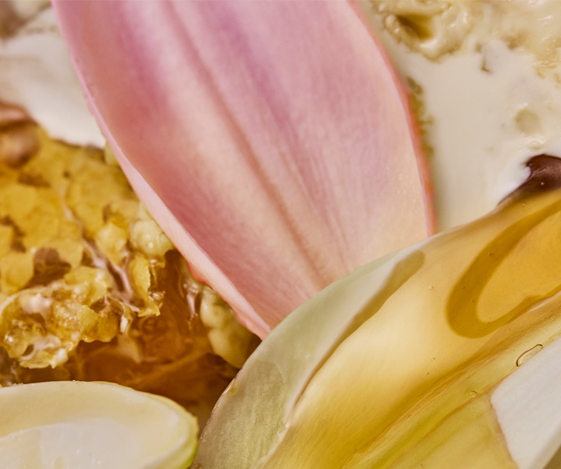 a close up of a flower petal