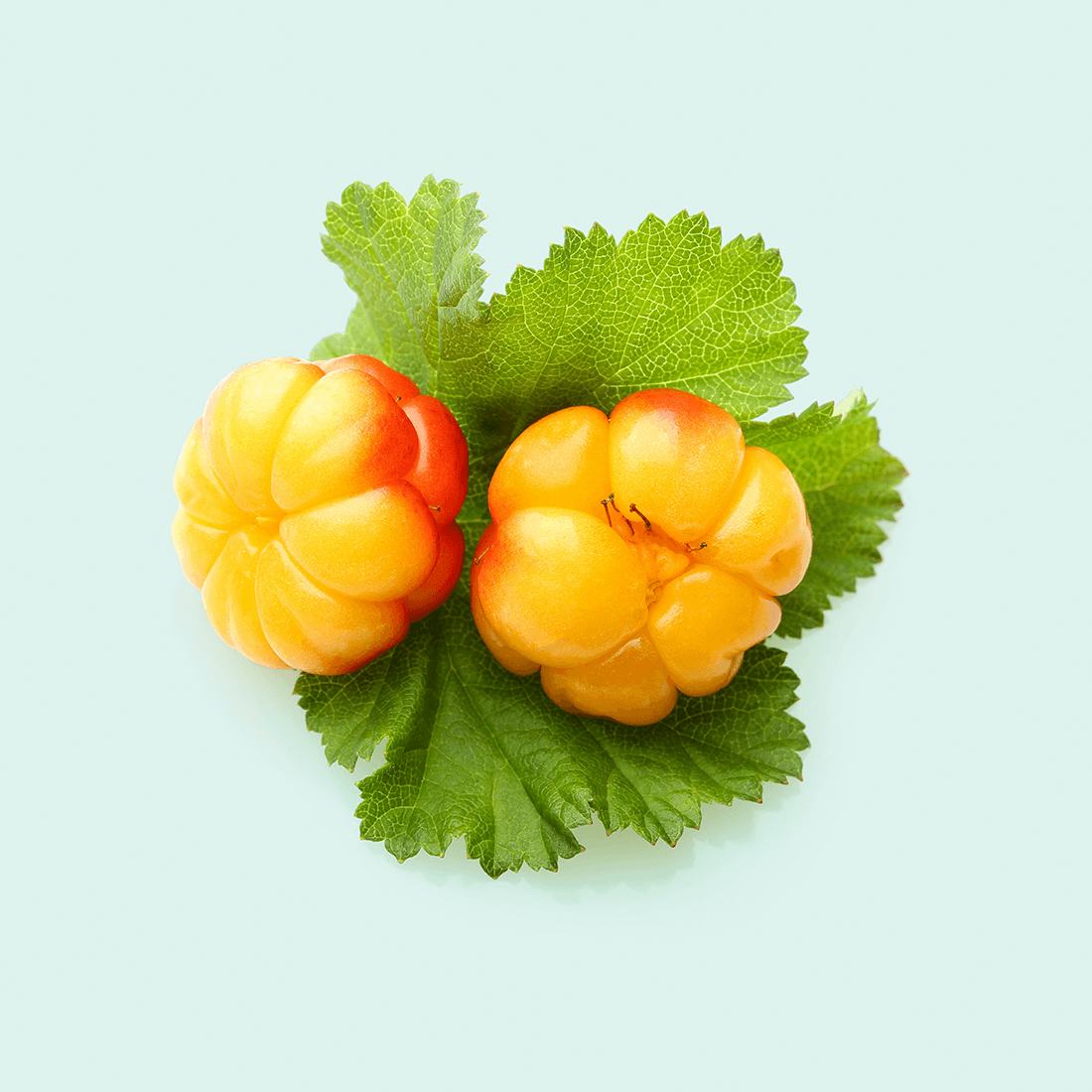 Cloudberry