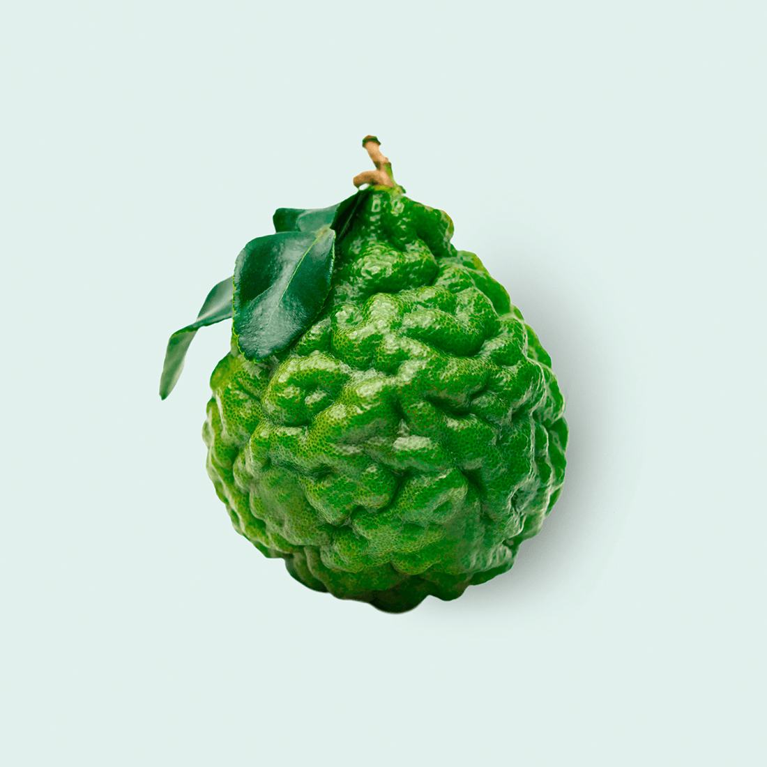 Bergamot