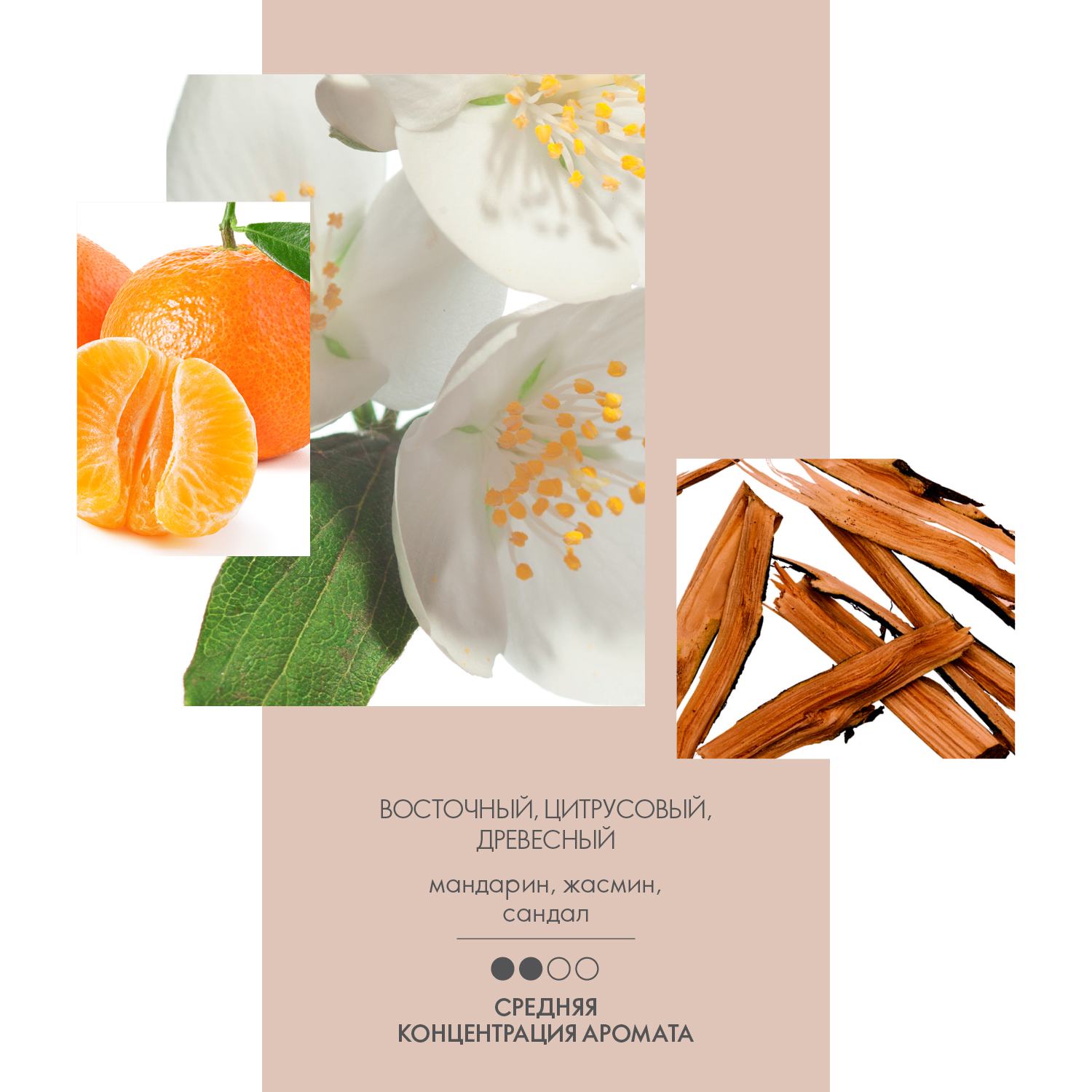 https://media-cdn.oriflame.com/productImage?externalMediaId=product-management-media%2fProducts%2f42507%2fRU%2f42507_4.png&MediaId=16798977&Version=1
