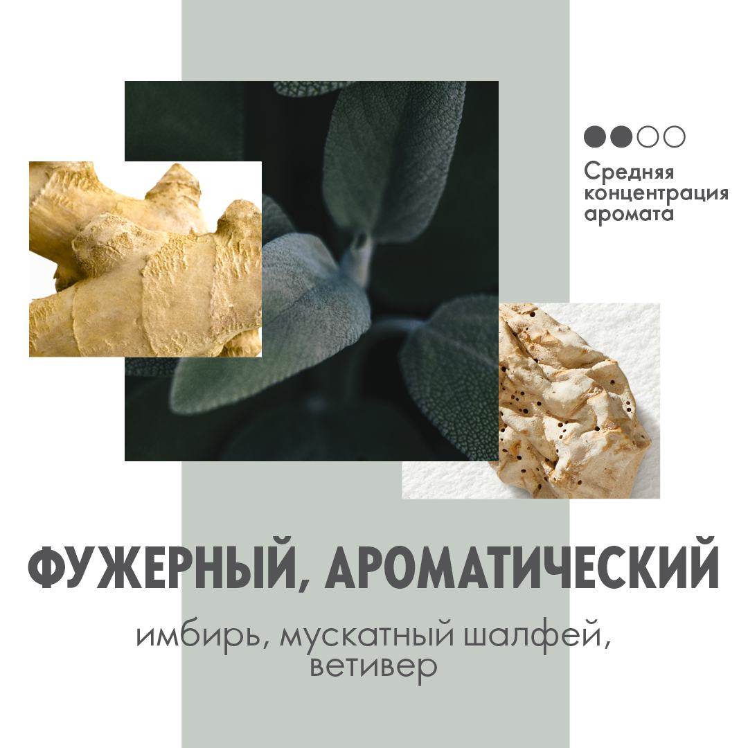 o'simlikning yaqin ko'rinishi