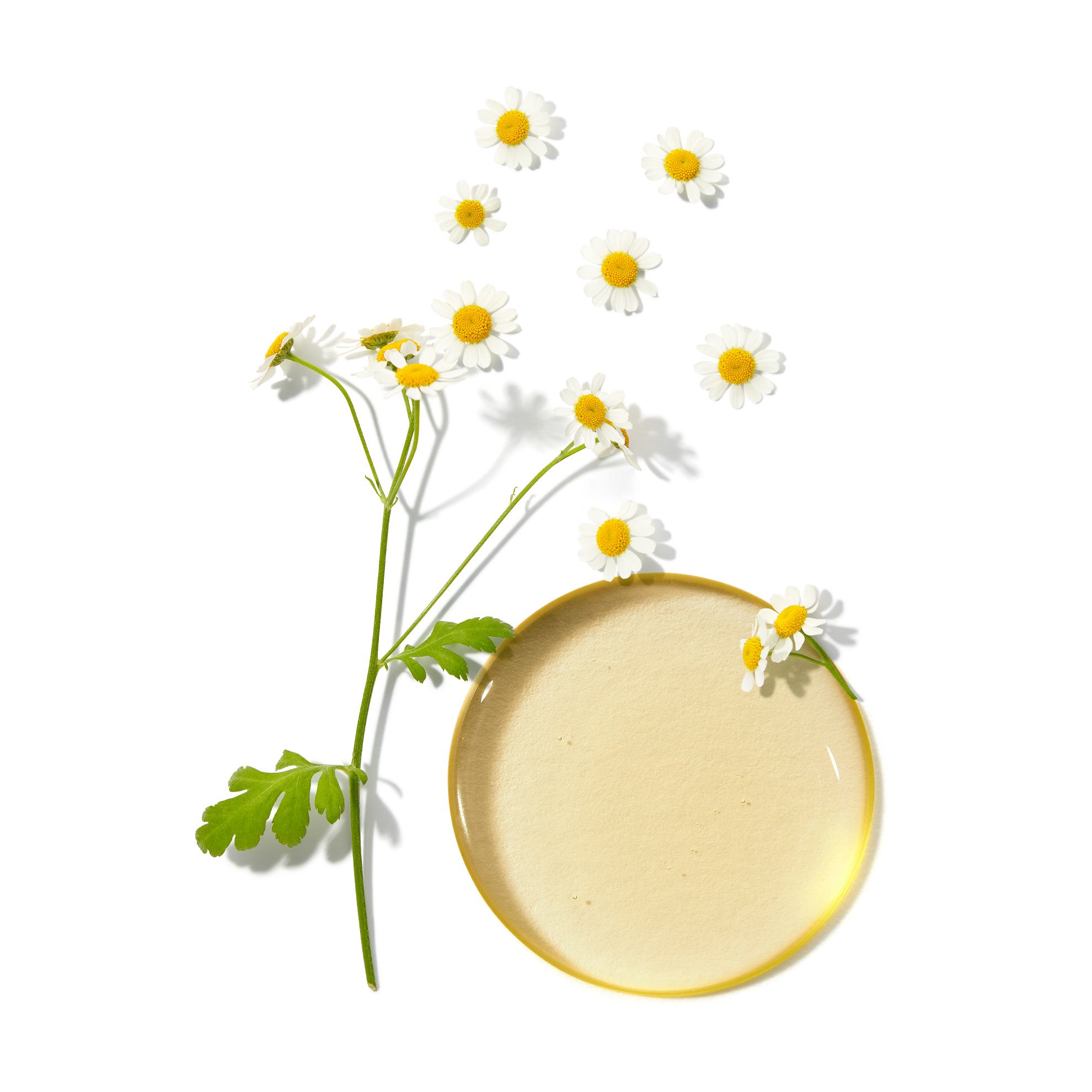 apvali lėkštė su gėlėmis ir stiebu