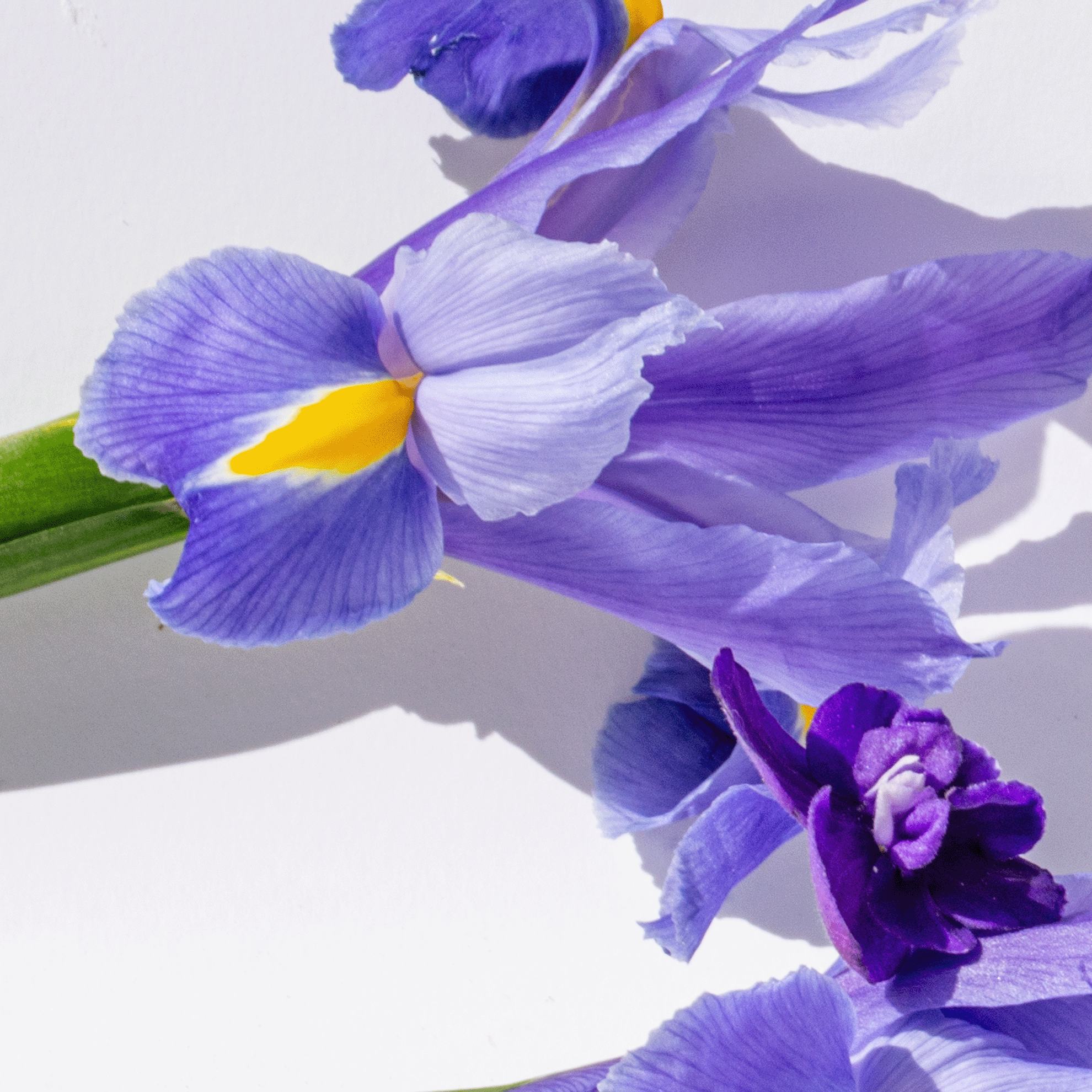 https://media-cdn.oriflame.com/productImage?externalMediaId=product-management-media%2fProducts%2f46043%2f46043_6.png&MediaId=18976597&Version=3