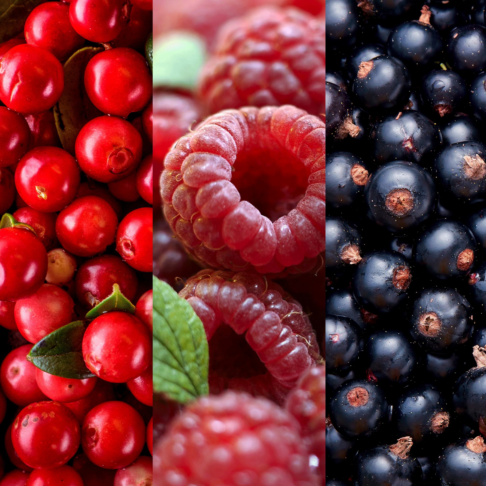 un collage de diferentes bayas