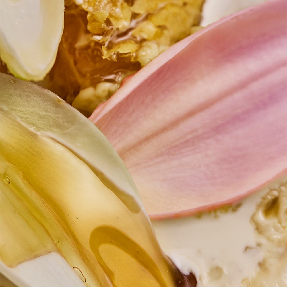 un primer plano de comida