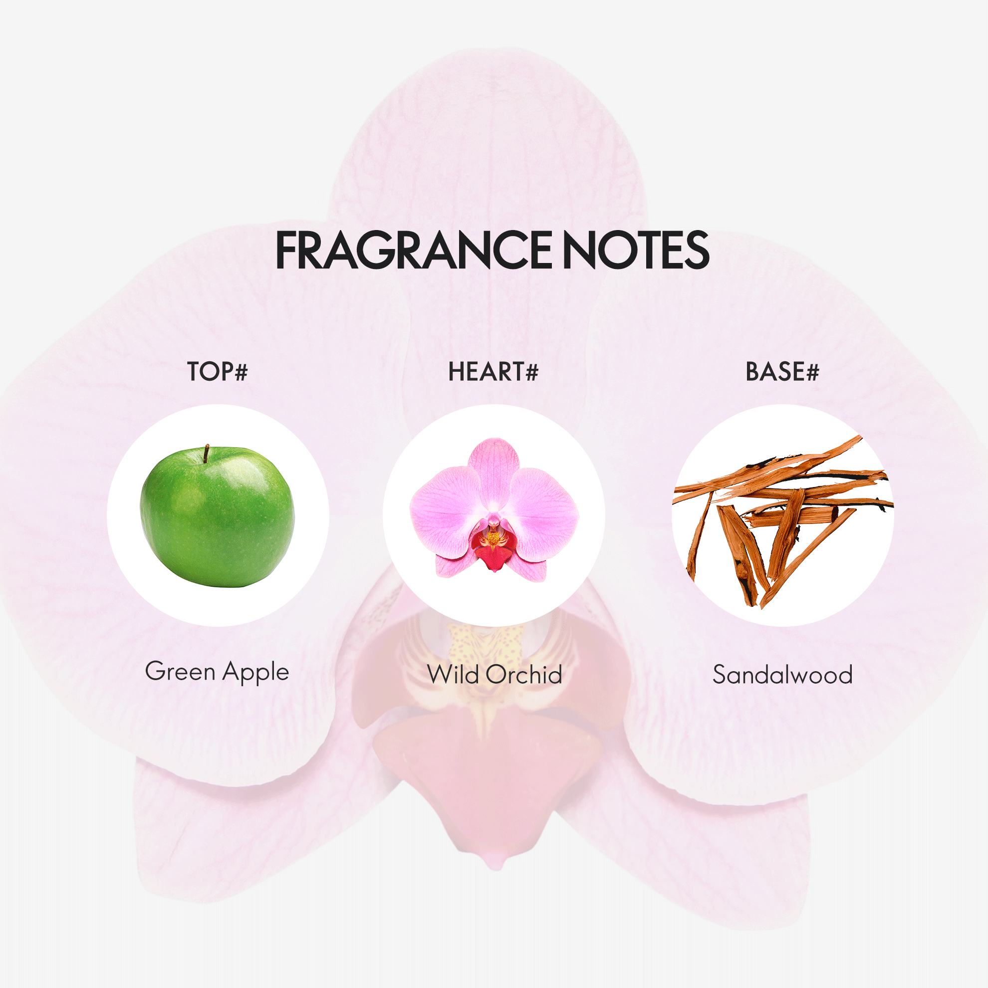 a close up of a flower