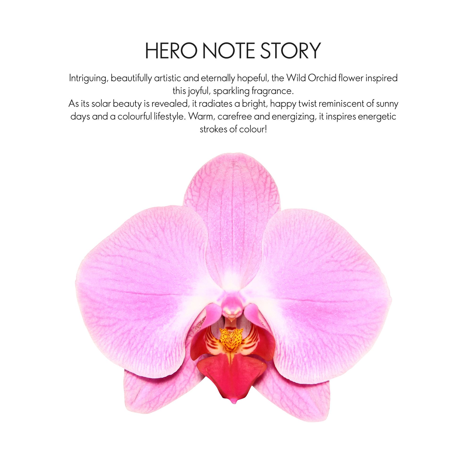 a close up of a flower