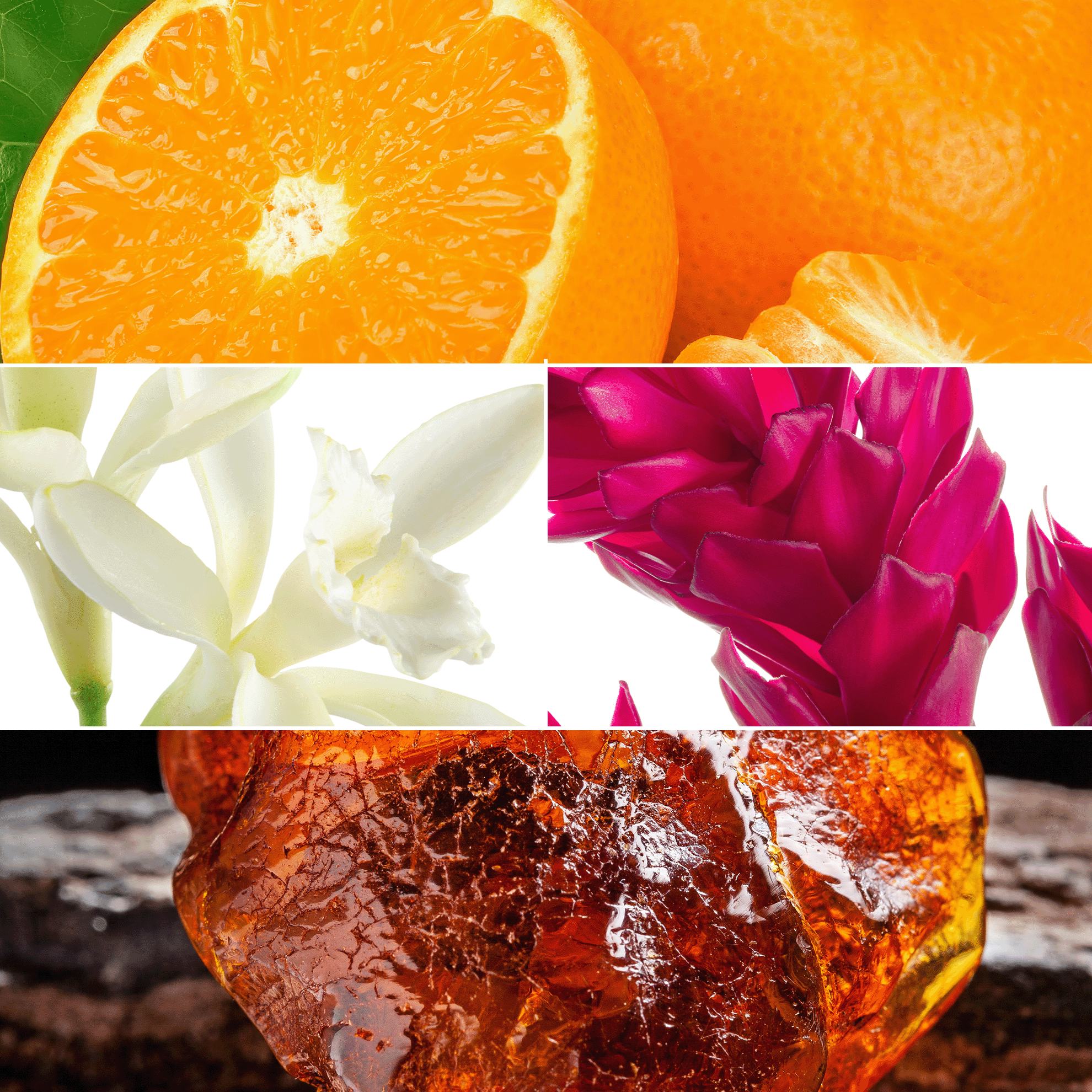 un colaj din diferite fructe