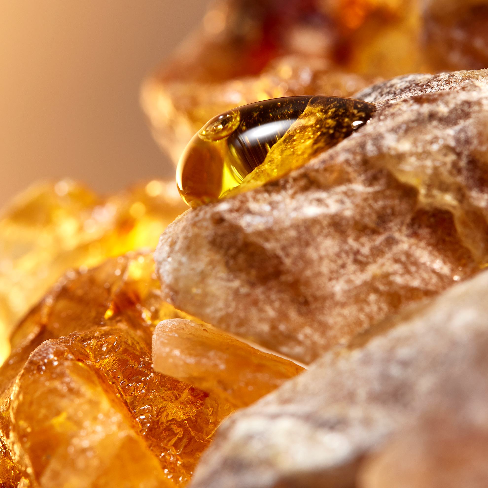 Sebuah close-up batu