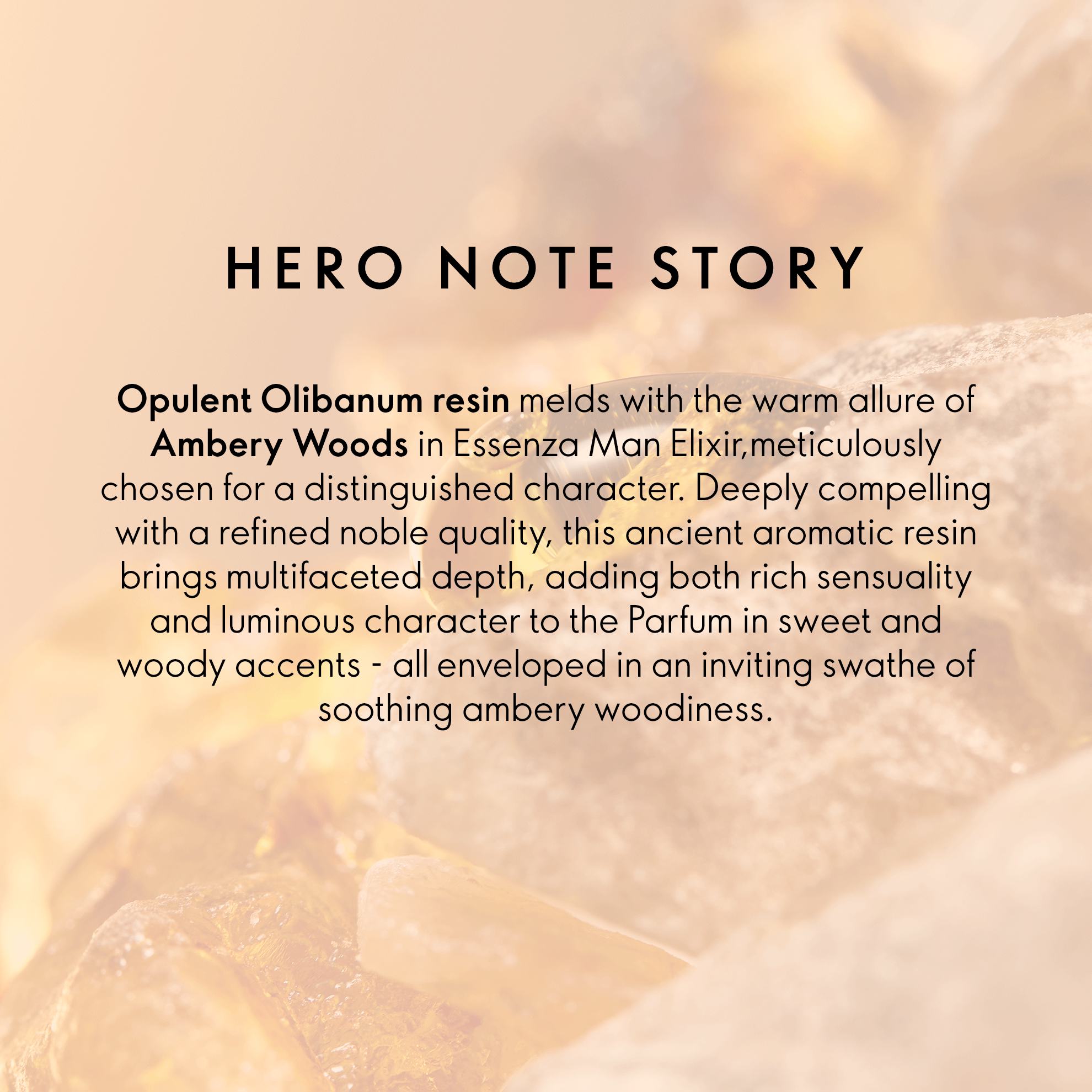 a close up of a rock