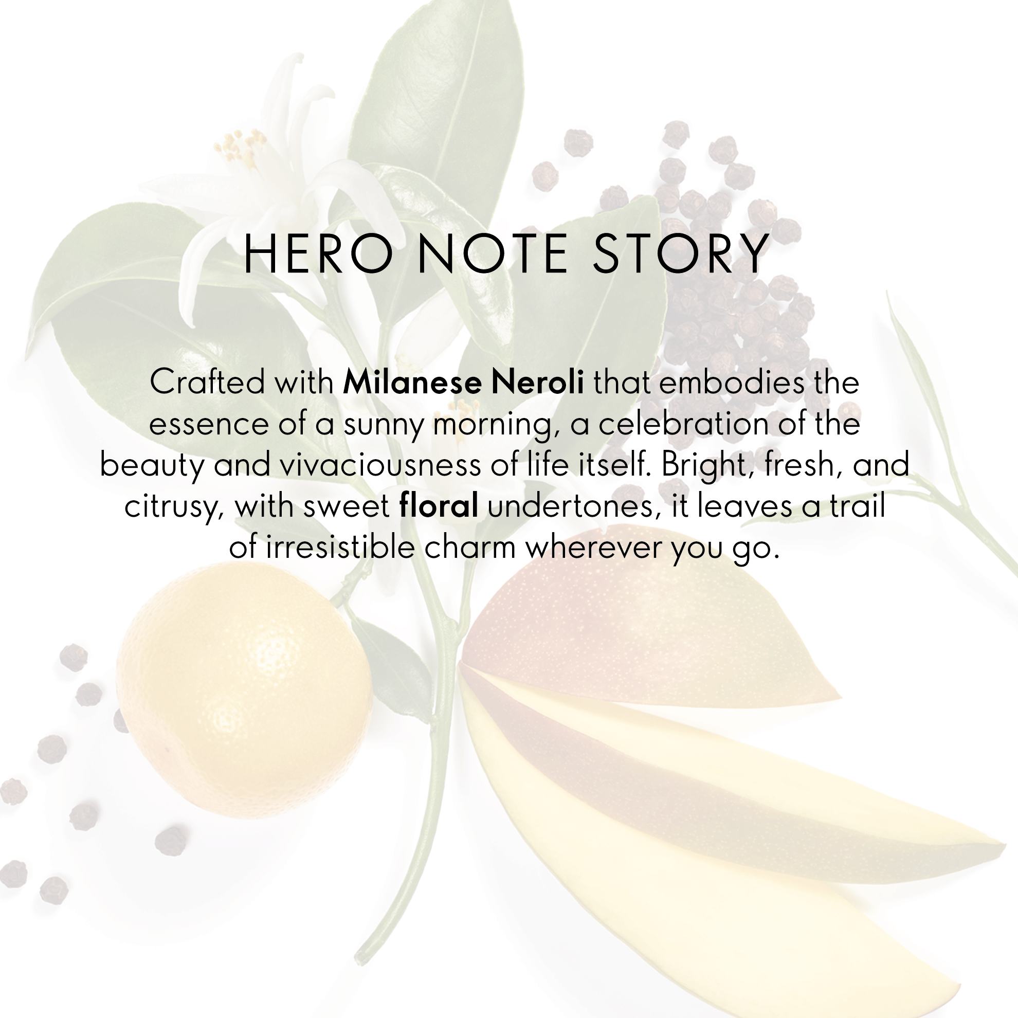 a close up of a plant