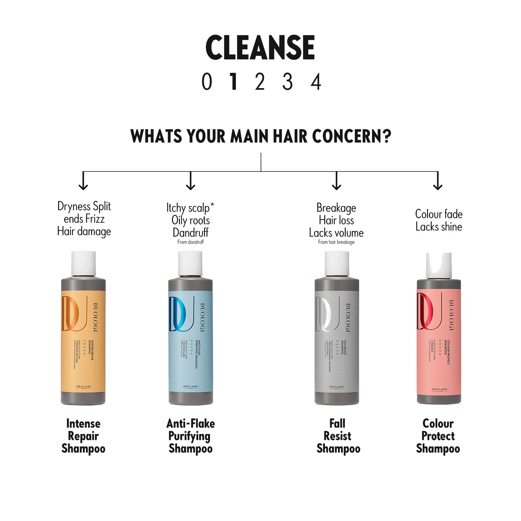 a diagram of hair care products