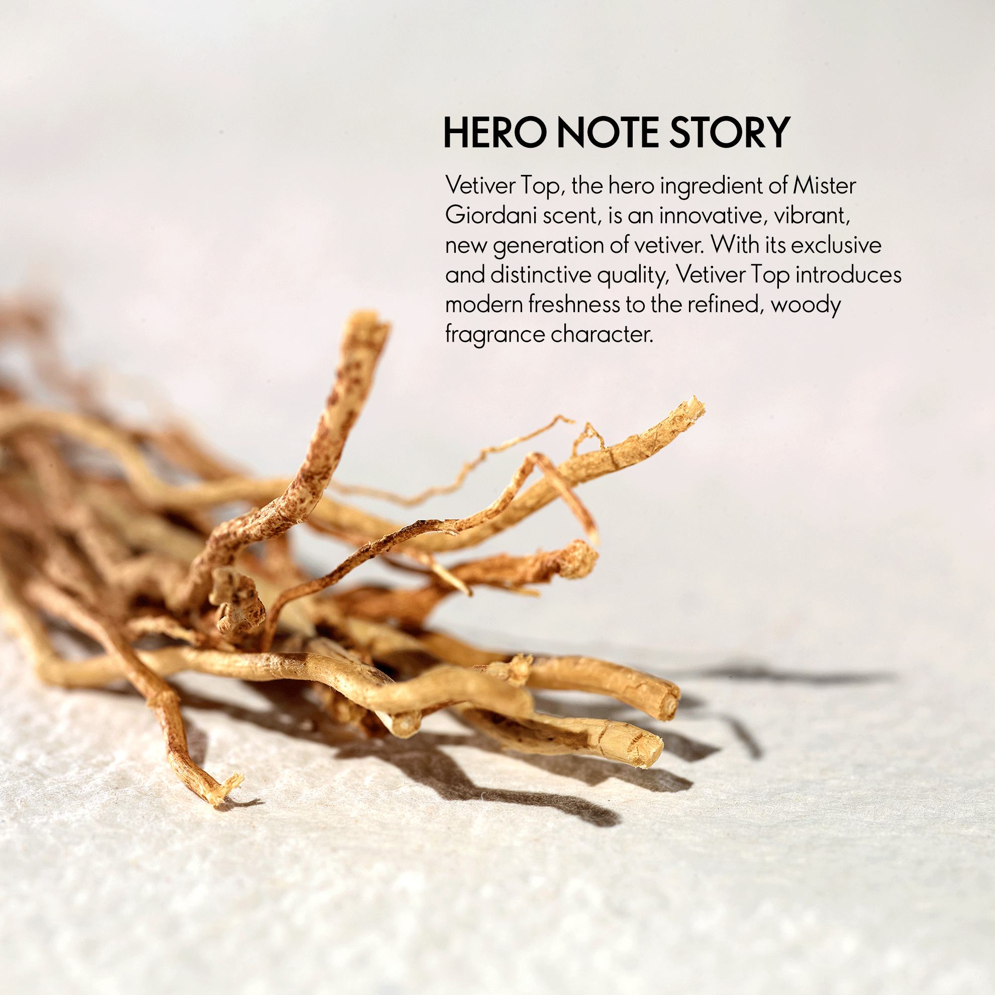 a close up of a plant