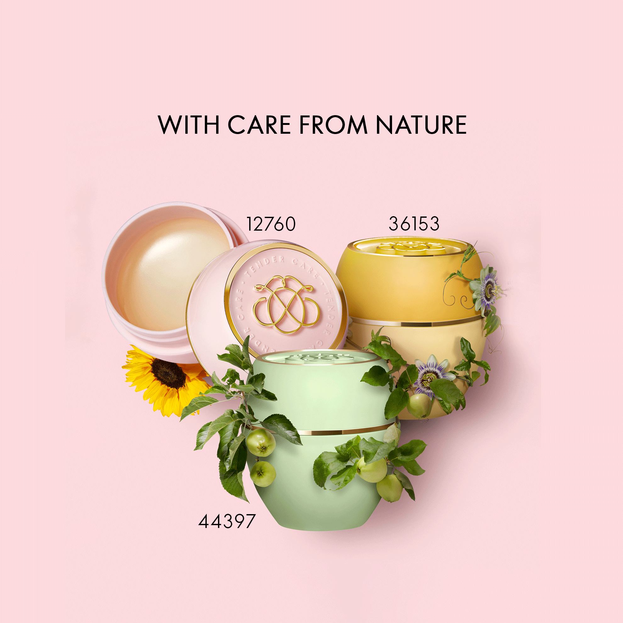 a group of containers with leaves and flowers