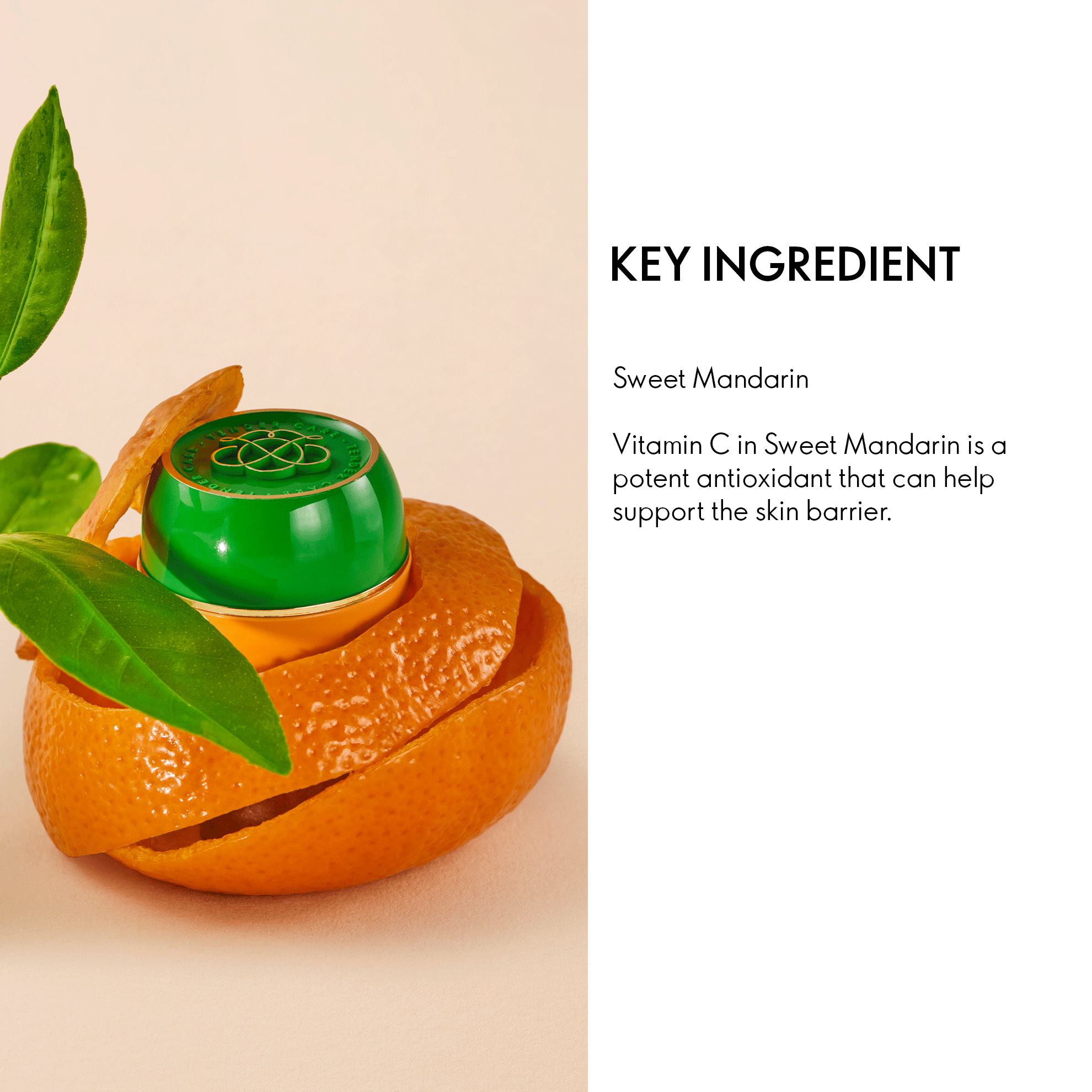 an orange peel with green lid and leaves