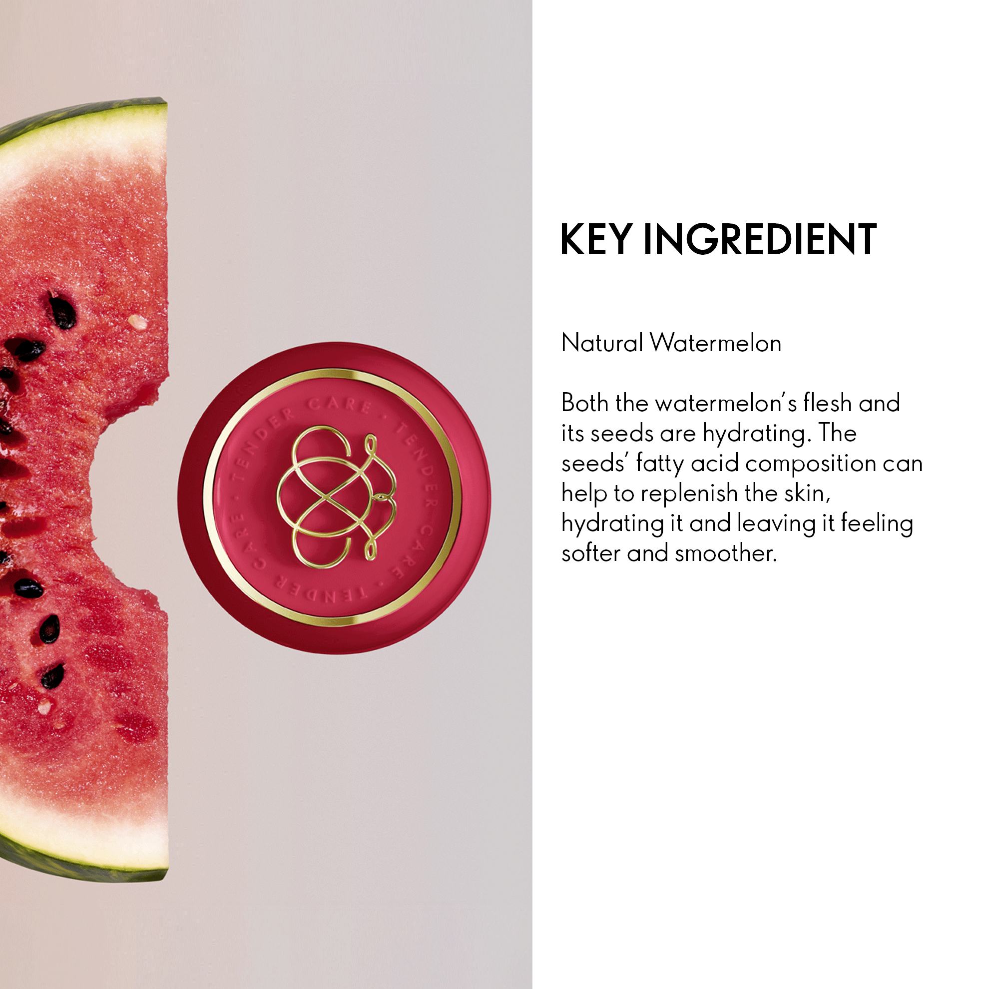 a watermelon with a red lid