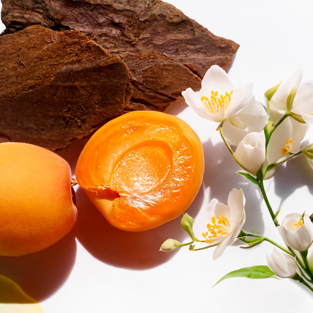 owoce i kwiaty na białym tle