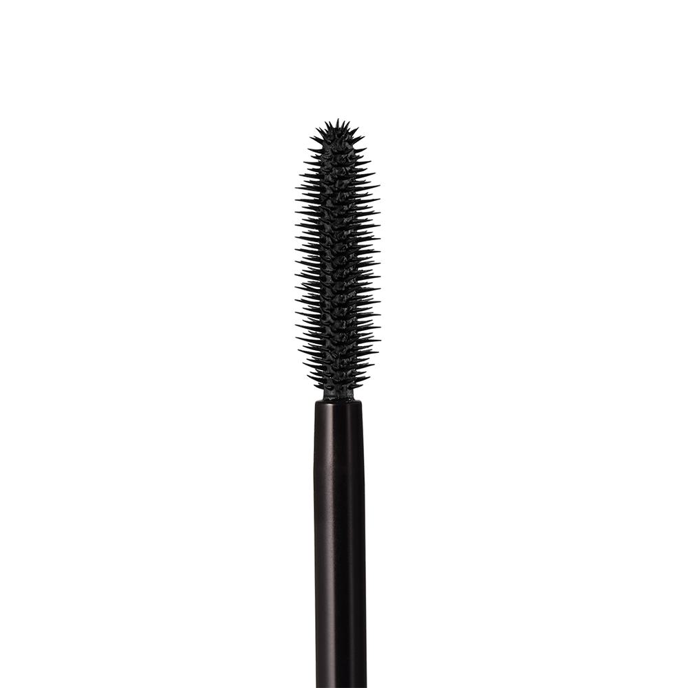 a black brush with a long bristles