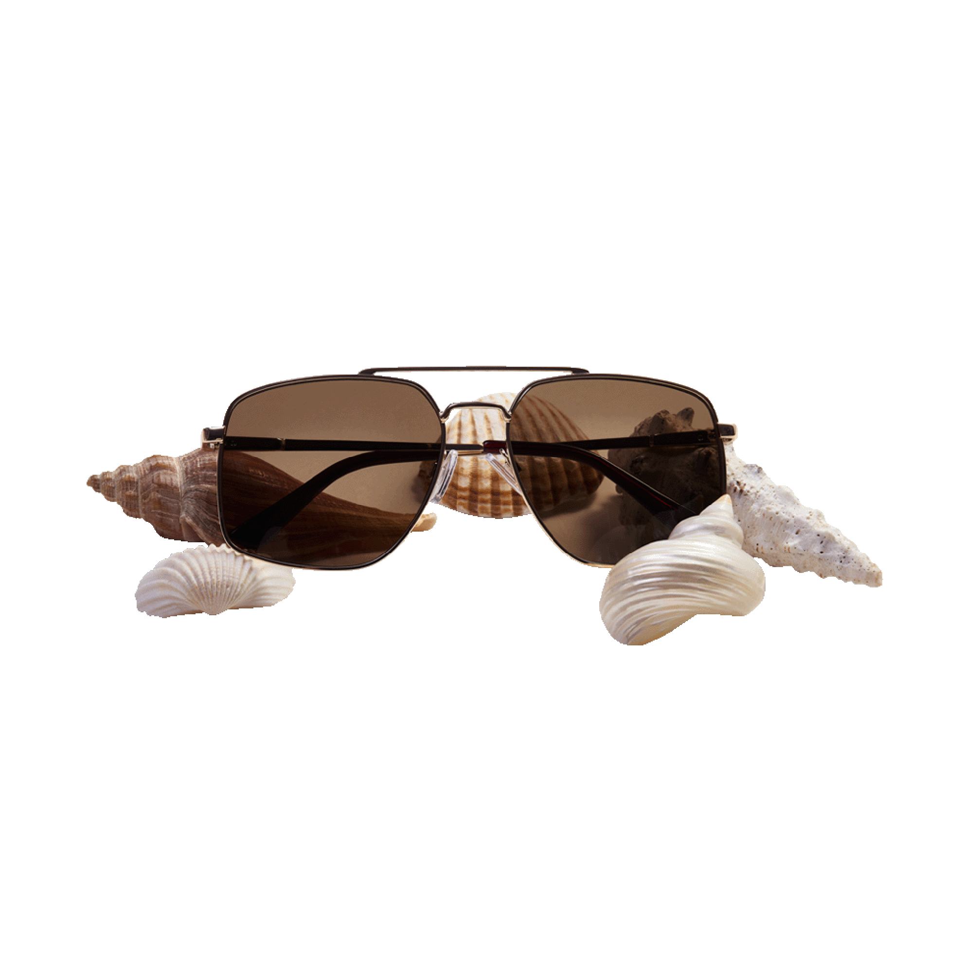 a pair of sunglasses with shells on them