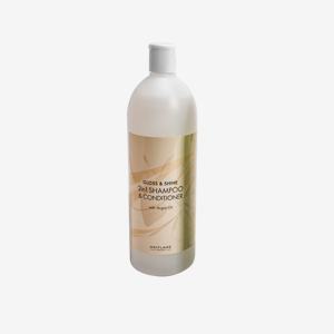 Shampoo y Acondicionador 2 en 1 con Aceite de Argán