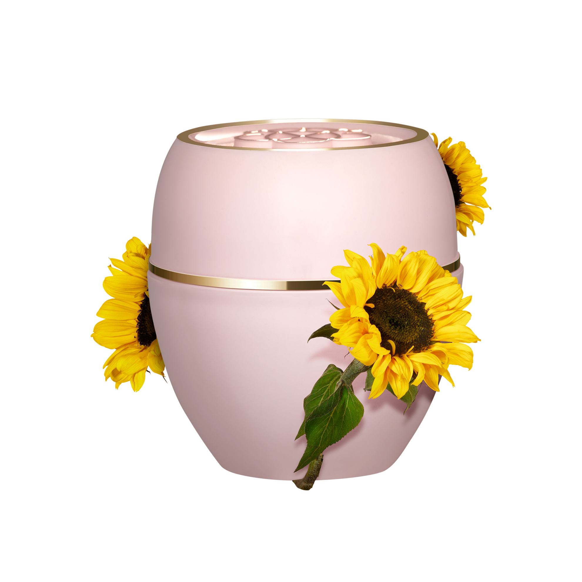 https://media-cdn.oriflame.com/productImage?externalMediaId=product-management-media%2fProducts%2f12760%2fLV%2f12760_5.png&id=16512006&version=5