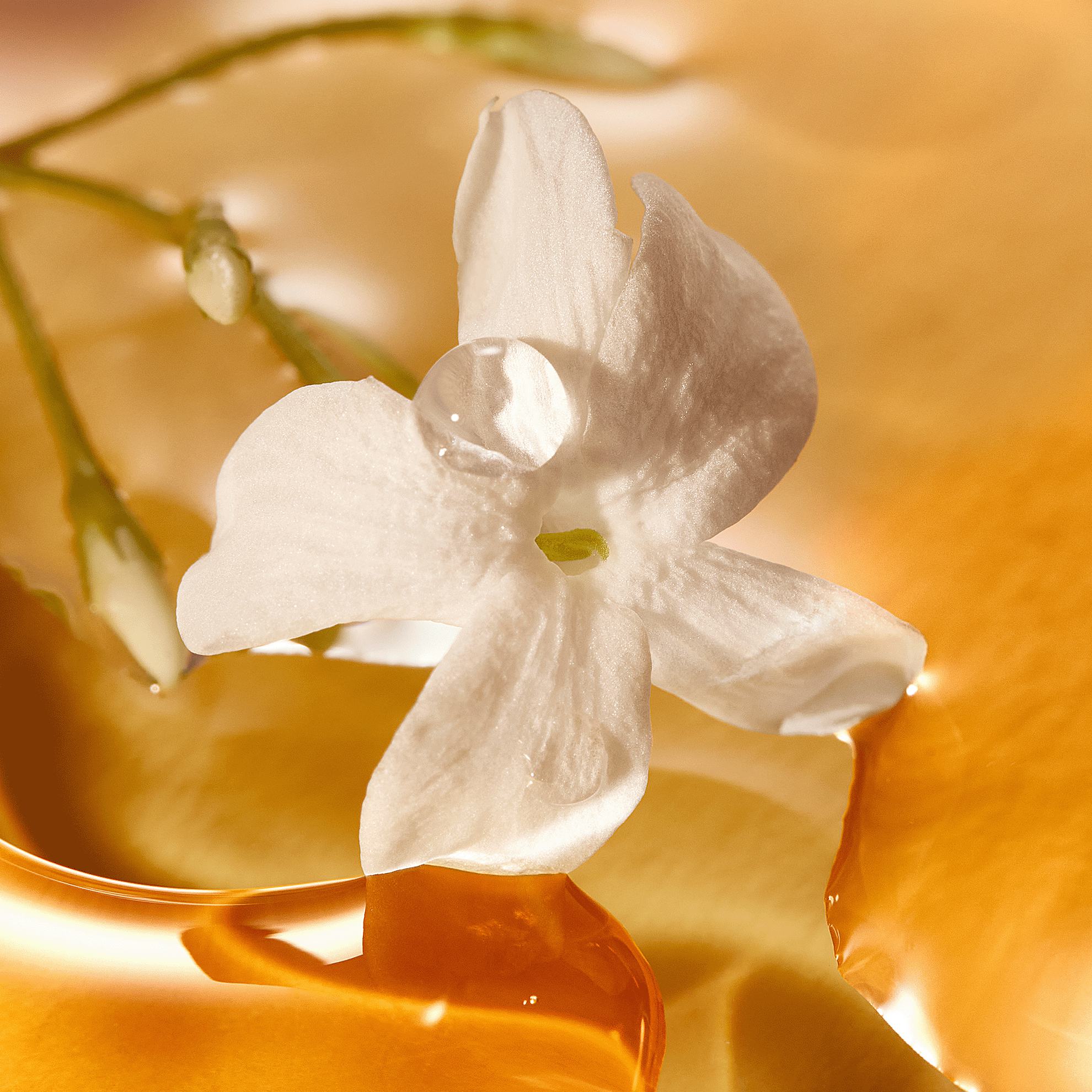 https://media-cdn.oriflame.com/productImage?externalMediaId=product-management-media%2fProducts%2f152875%2f152875_3.png&id=20396577&version=1