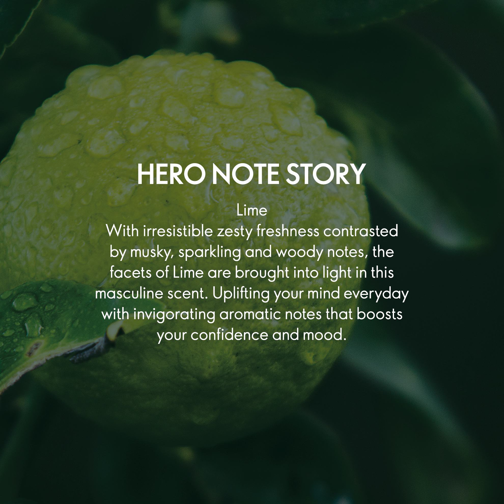 https://media-cdn.oriflame.com/productImage?externalMediaId=product-management-media%2fProducts%2f30058%2fIN%2f30058_4.png&id=20725388&version=2