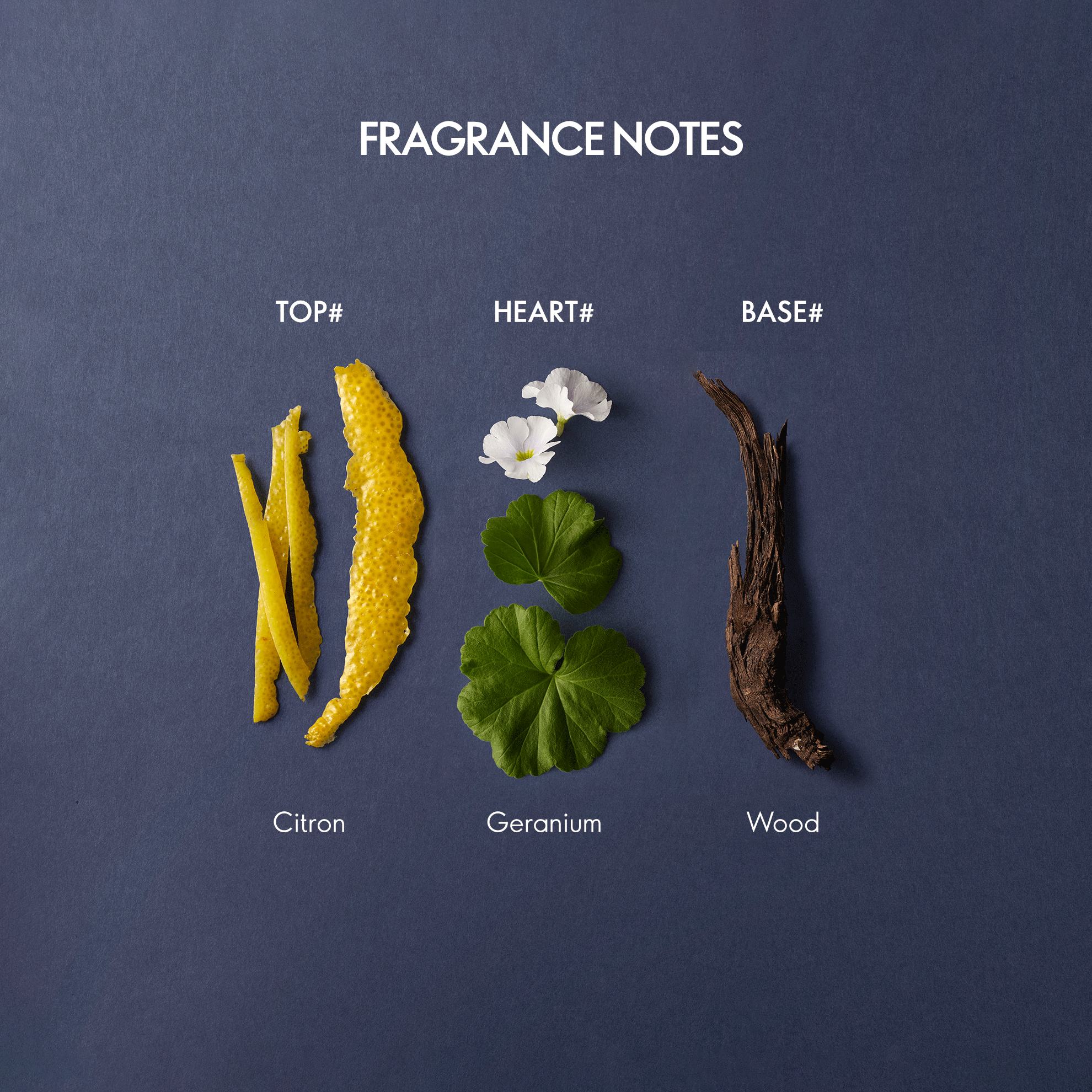 https://media-cdn.oriflame.com/productImage?externalMediaId=product-management-media%2fProducts%2f35665%2fIN%2f35665_3.png&id=20624027&version=2