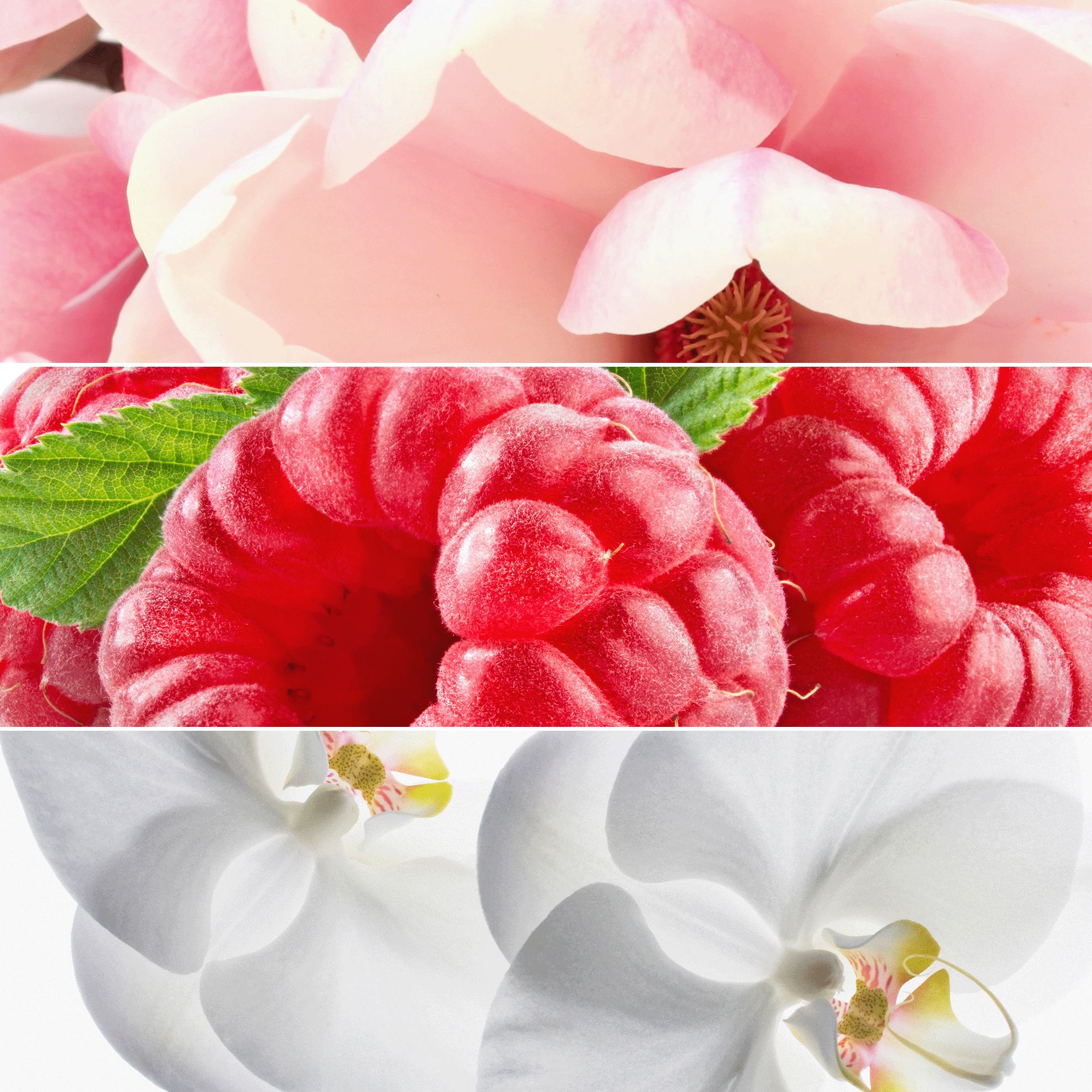 https://media-cdn.oriflame.com/productImage?externalMediaId=product-management-media%2fProducts%2f35679%2fID%2f35679_4.png&id=17981307&version=3