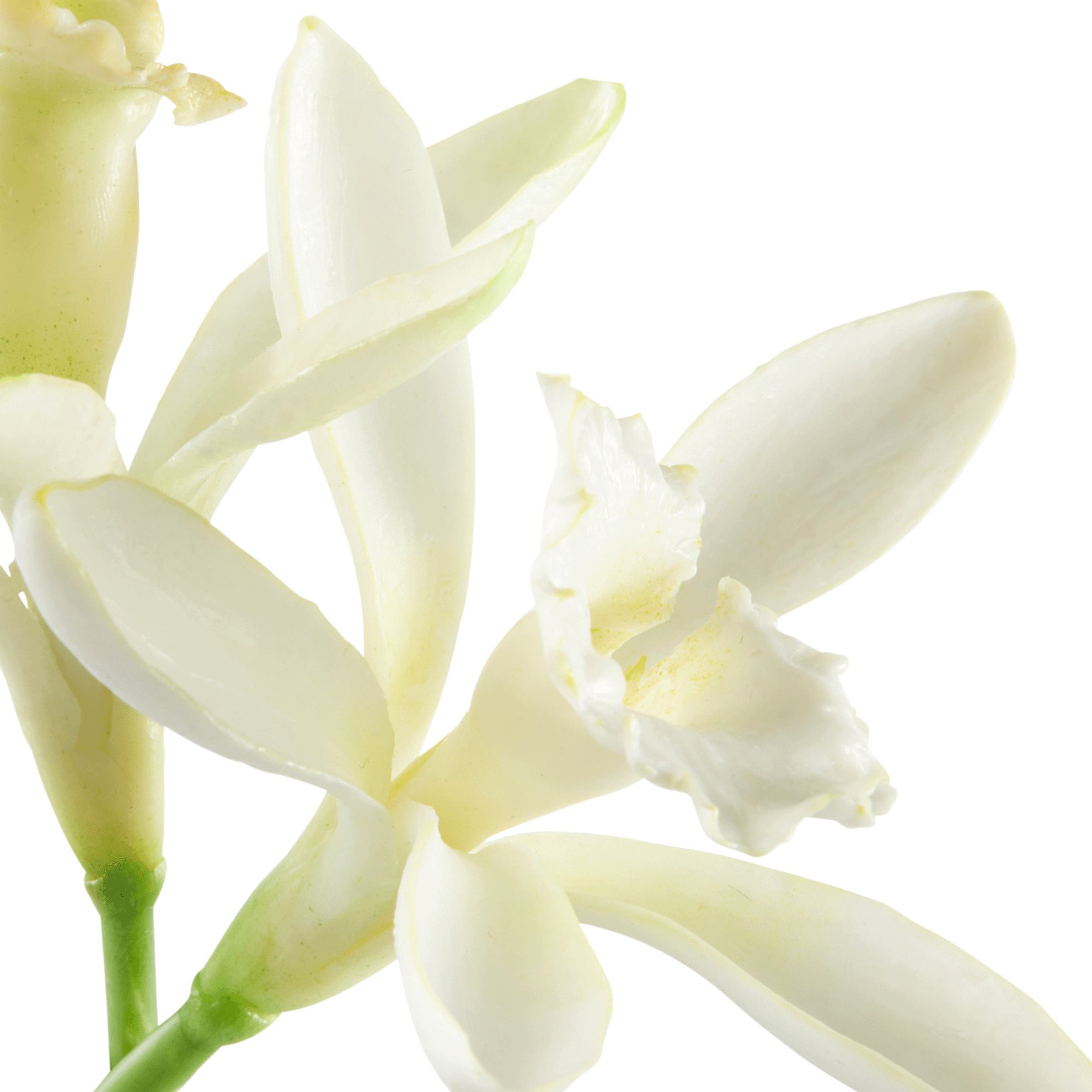 https://media-cdn.oriflame.com/productImage?externalMediaId=product-management-media%2fProducts%2f35679%2fID%2f35679_5.png&id=17981308&version=3