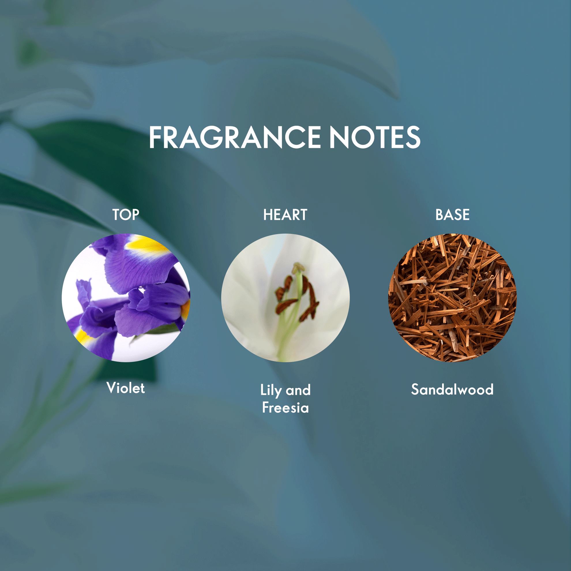https://media-cdn.oriflame.com/productImage?externalMediaId=product-management-media%2fProducts%2f38497%2fIN%2f38497_3.png&id=20782086&version=2