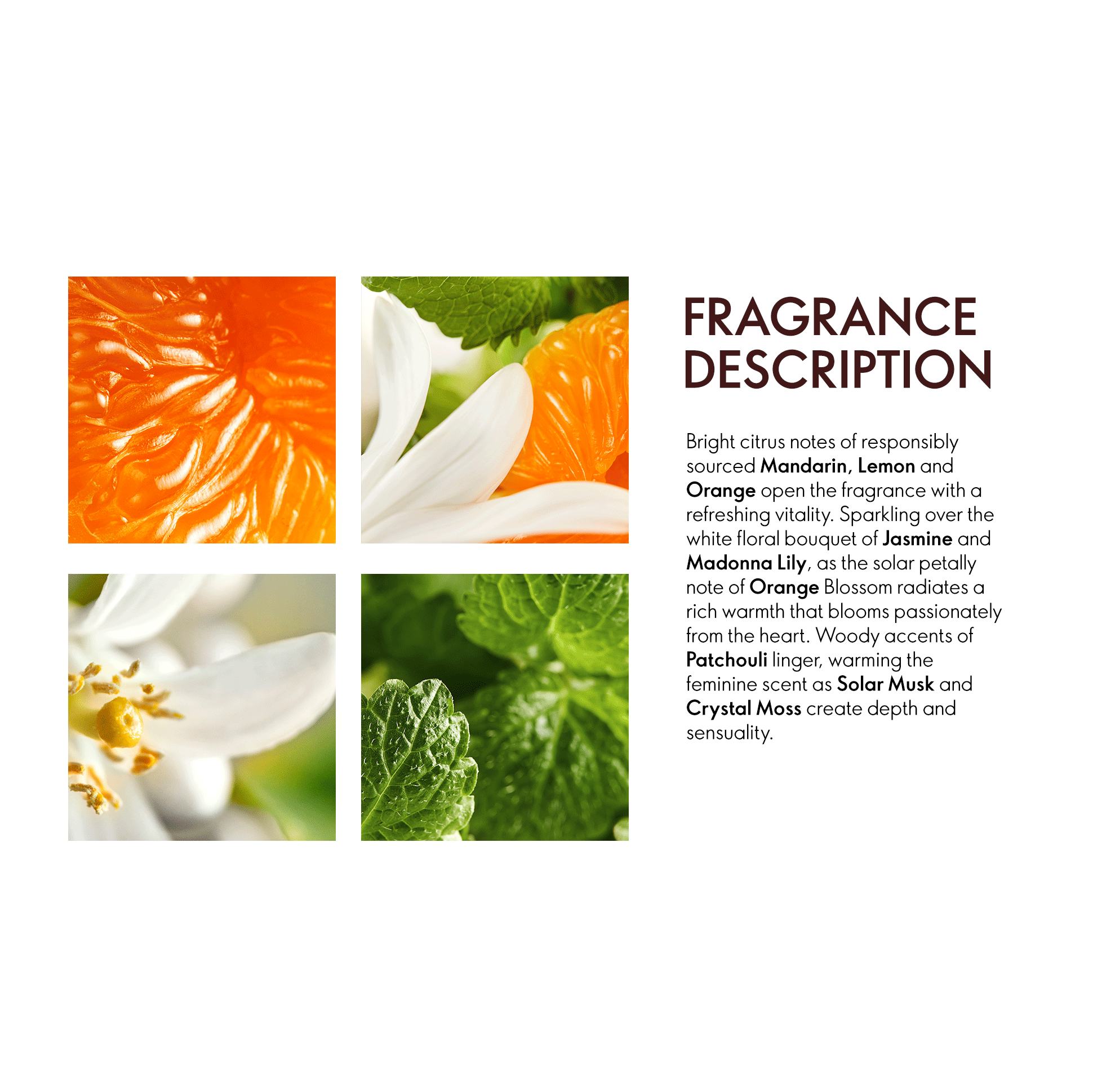 https://media-cdn.oriflame.com/productImage?externalMediaId=product-management-media%2fProducts%2f38531%2fIN%2f38531_3.png&id=20789658&version=2