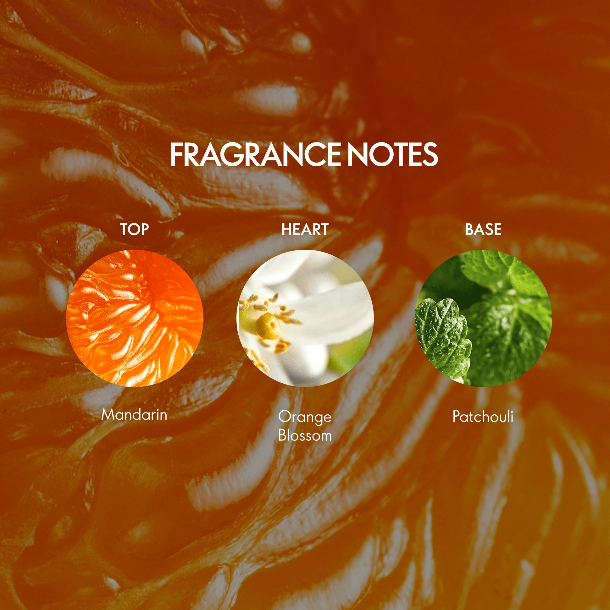 https://media-cdn.oriflame.com/productImage?externalMediaId=product-management-media%2fProducts%2f38531%2fIN%2f38531_5.png&id=20789660&version=2