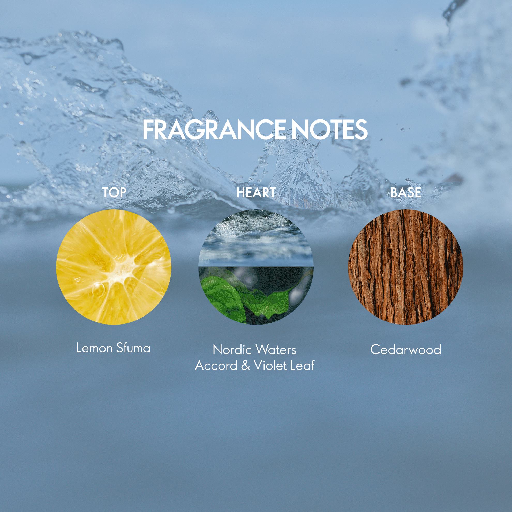 https://media-cdn.oriflame.com/productImage?externalMediaId=product-management-media%2fProducts%2f38550%2fIN%2f38550_2.png&id=20834773&version=2