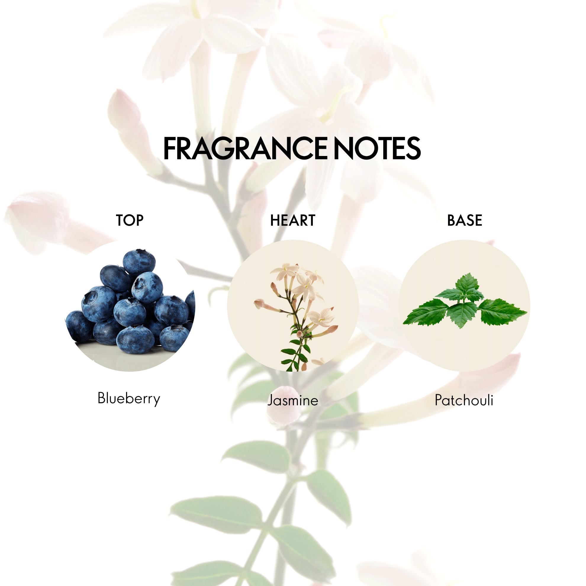 https://media-cdn.oriflame.com/productImage?externalMediaId=product-management-media%2fProducts%2f40788%2fIN%2f40788_4.png&id=20783424&version=2