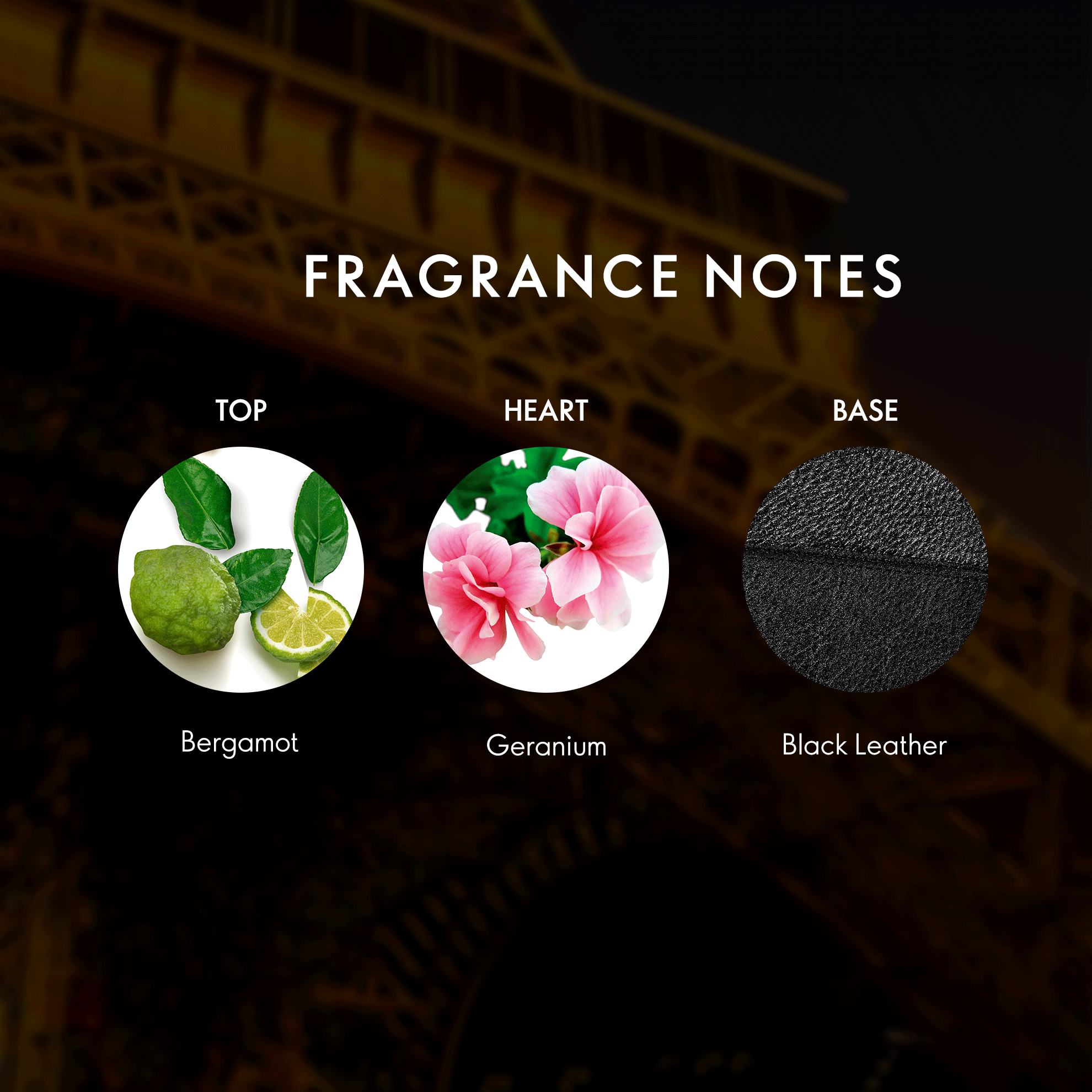 https://media-cdn.oriflame.com/productImage?externalMediaId=product-management-media%2fProducts%2f40790%2fIN%2f40790_4.png&id=20830492&version=2