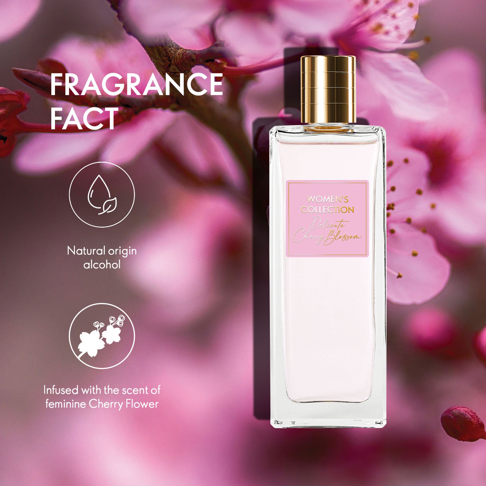 https://media-cdn.oriflame.com/productImage?externalMediaId=product-management-media%2fProducts%2f42828%2fIN%2f42828_2.png&id=20702535&version=2