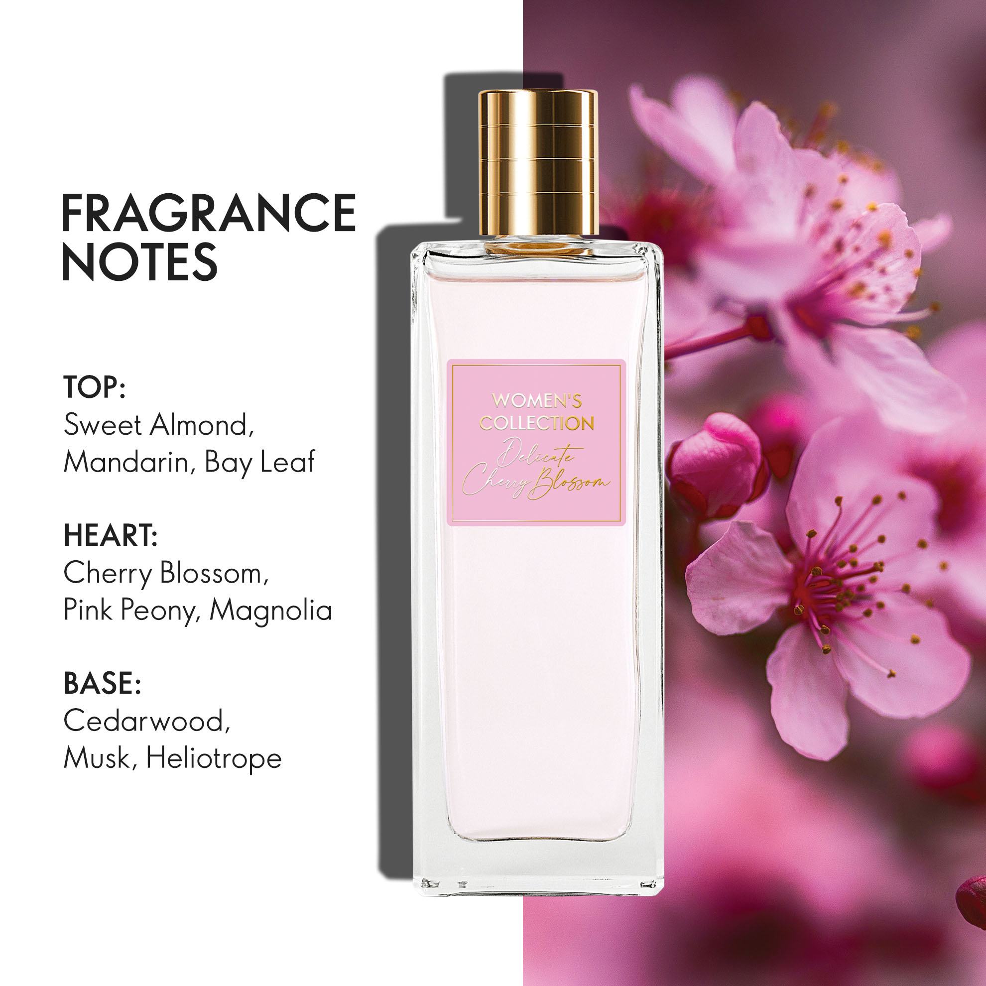 https://media-cdn.oriflame.com/productImage?externalMediaId=product-management-media%2fProducts%2f42828%2fIN%2f42828_3.png&id=20702536&version=2