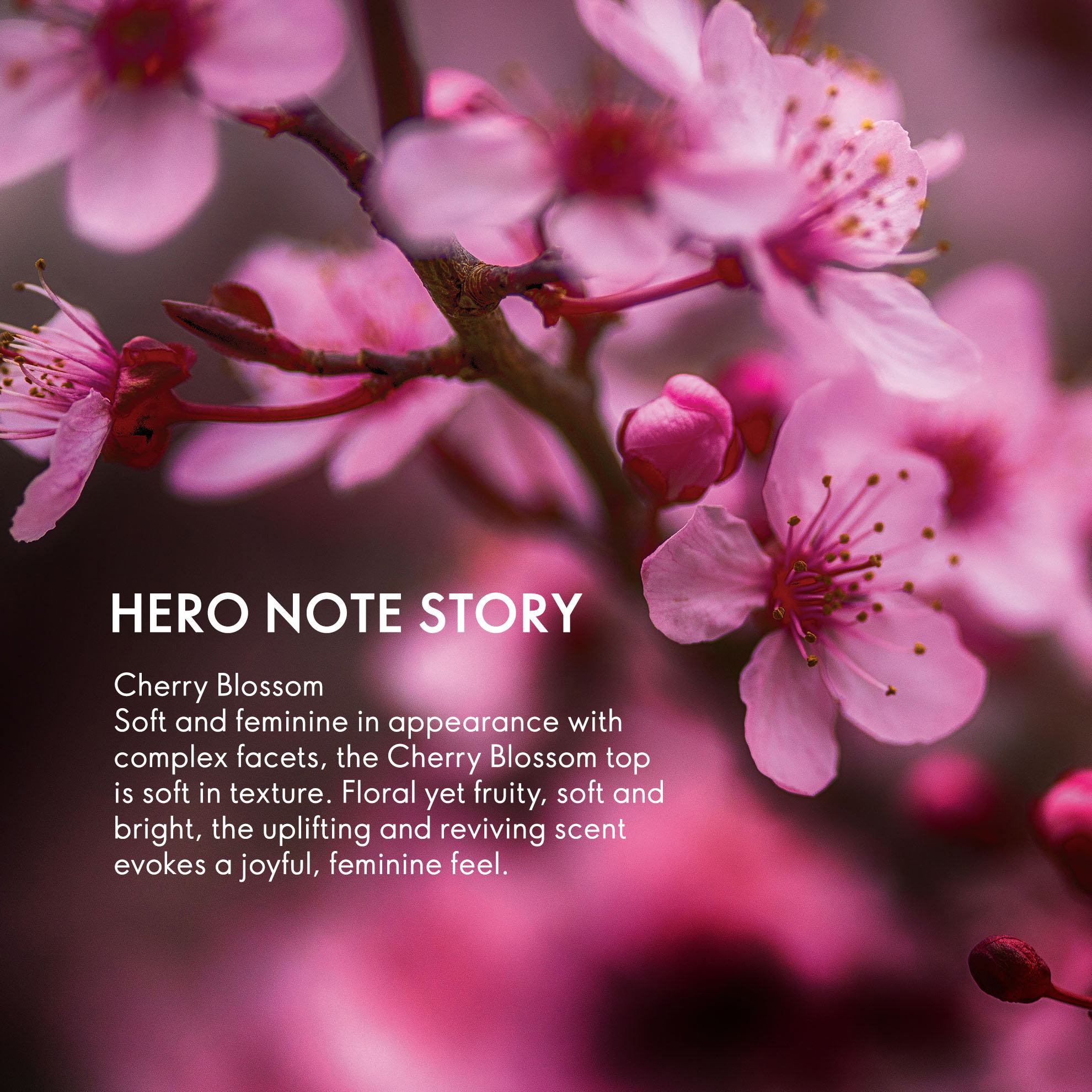 https://media-cdn.oriflame.com/productImage?externalMediaId=product-management-media%2fProducts%2f42828%2fIN%2f42828_4.png&id=20702537&version=2