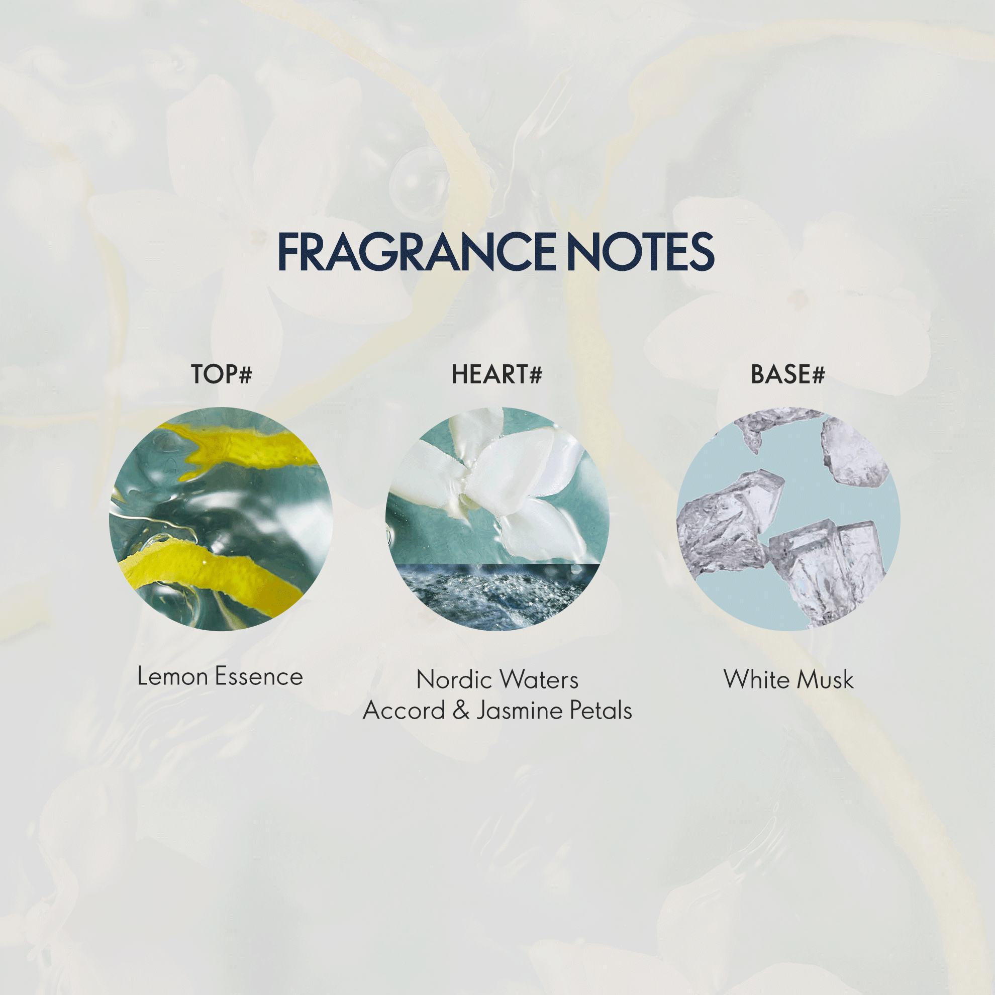 https://media-cdn.oriflame.com/productImage?externalMediaId=product-management-media%2fProducts%2f43122%2fIN%2f43122_2.png&id=20830719&version=2