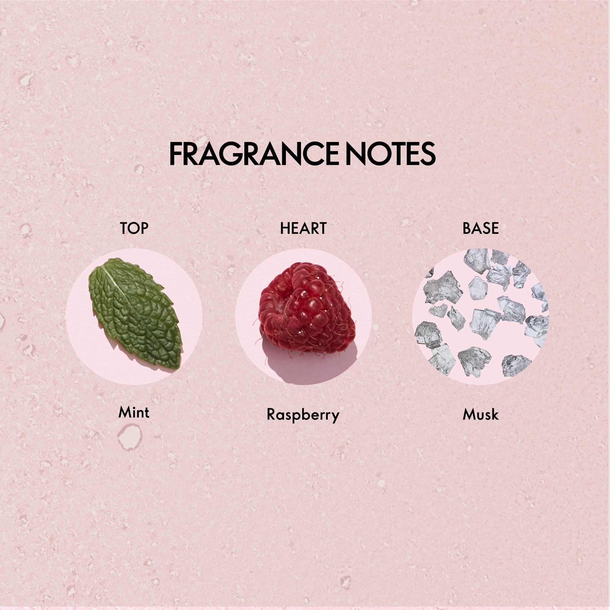 https://media-cdn.oriflame.com/productImage?externalMediaId=product-management-media%2fProducts%2f43954%2fIN%2f43954_2.png&id=20829862&version=2