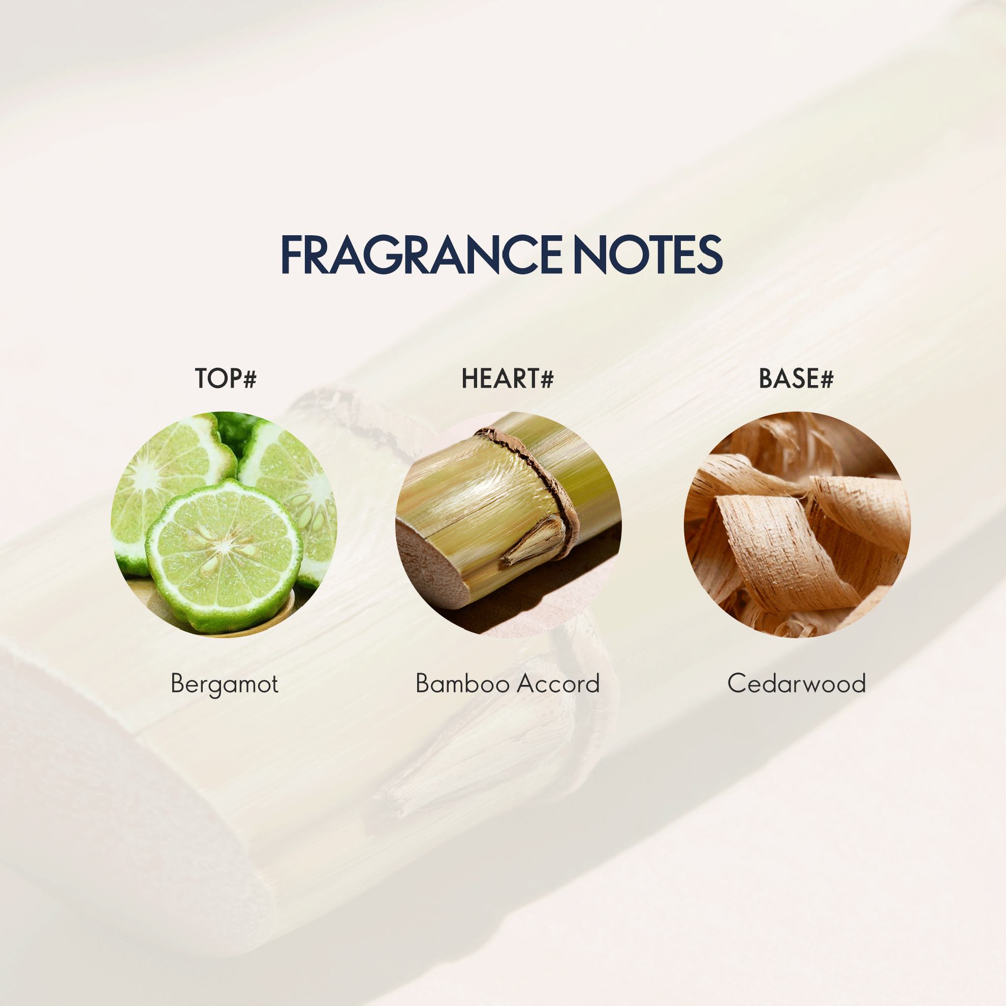 https://media-cdn.oriflame.com/productImage?externalMediaId=product-management-media%2fProducts%2f44307%2fIN%2f44307_4.png&id=20623970&version=2