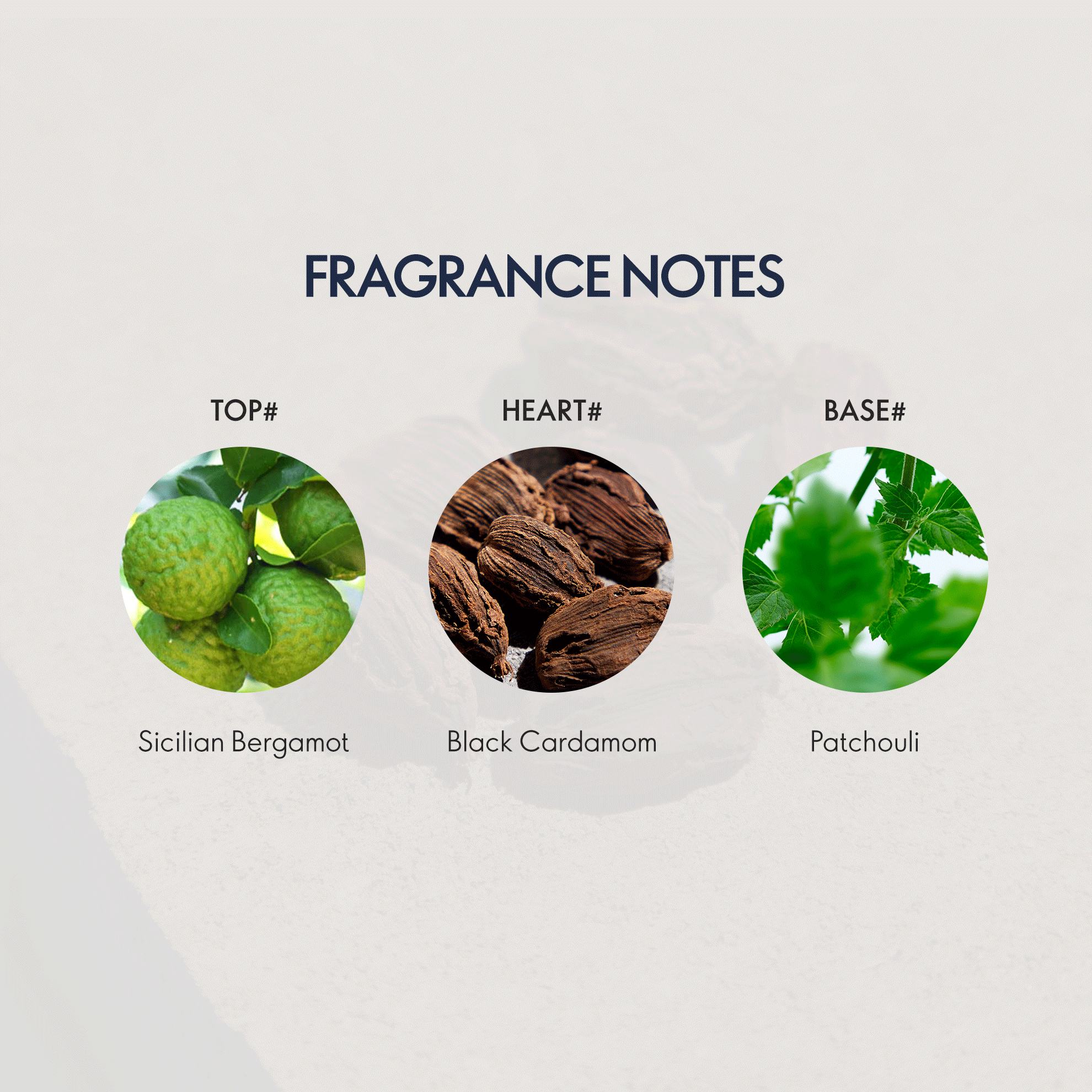 https://media-cdn.oriflame.com/productImage?externalMediaId=product-management-media%2fProducts%2f44308%2fIN%2f44308_4.png&id=20623768&version=2