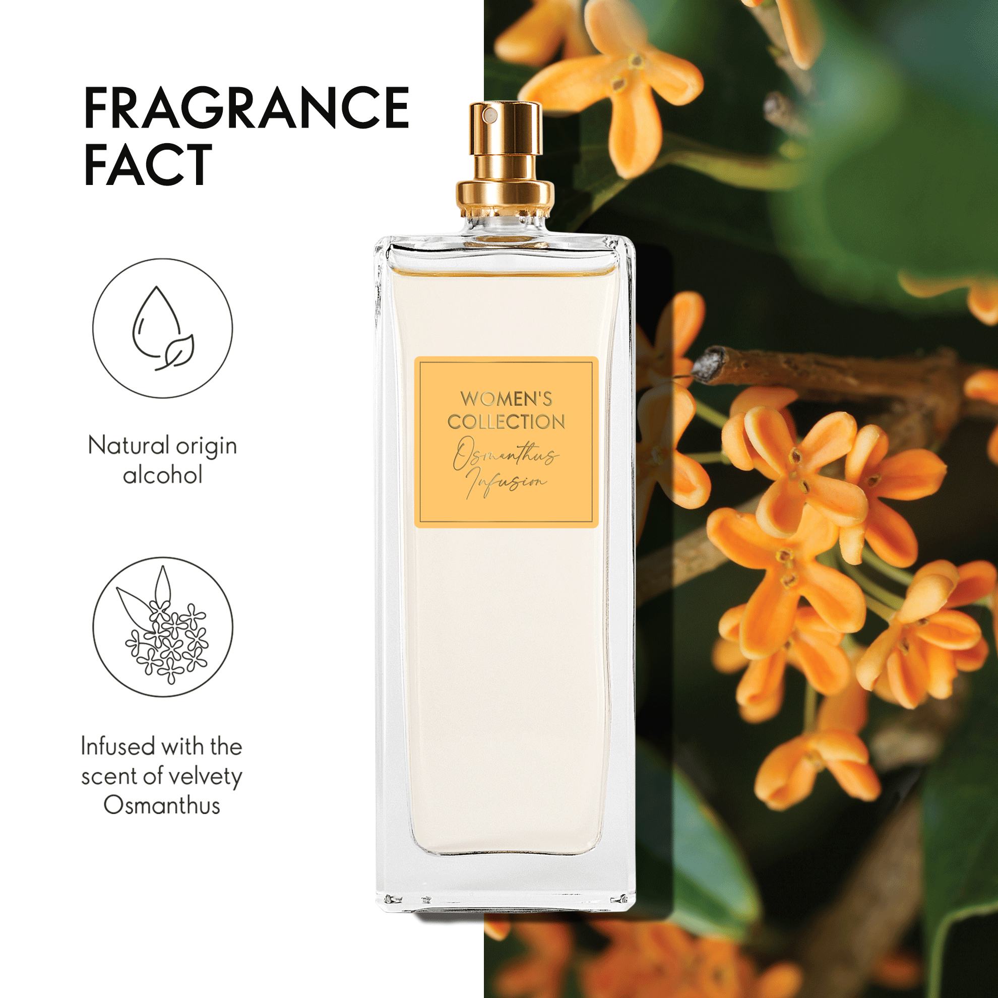 https://media-cdn.oriflame.com/productImage?externalMediaId=product-management-media%2fProducts%2f44327%2fIN%2f44327_2.png&id=20696682&version=2