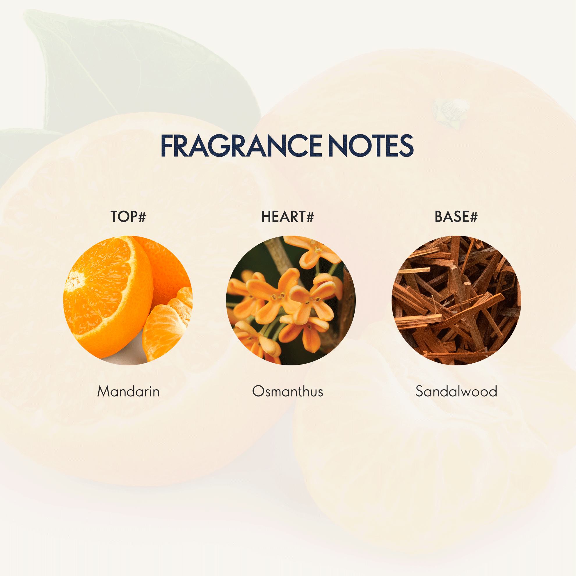 https://media-cdn.oriflame.com/productImage?externalMediaId=product-management-media%2fProducts%2f44327%2fIN%2f44327_5.png&id=20696684&version=2