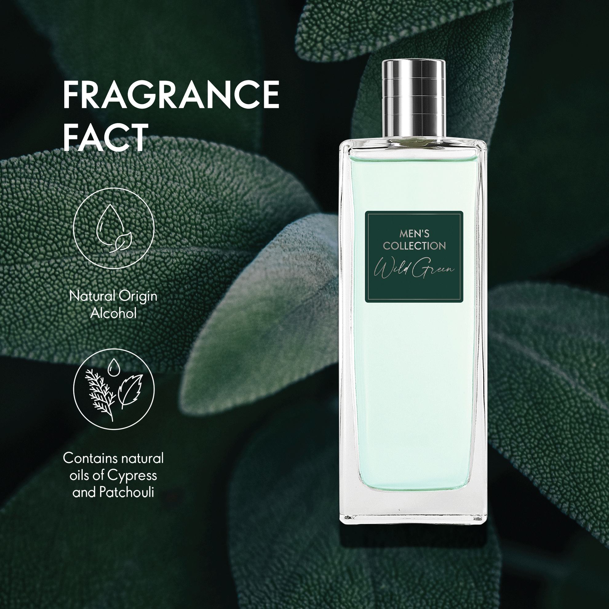 https://media-cdn.oriflame.com/productImage?externalMediaId=product-management-media%2fProducts%2f44328%2fIN%2f44328_2.png&id=20724725&version=1