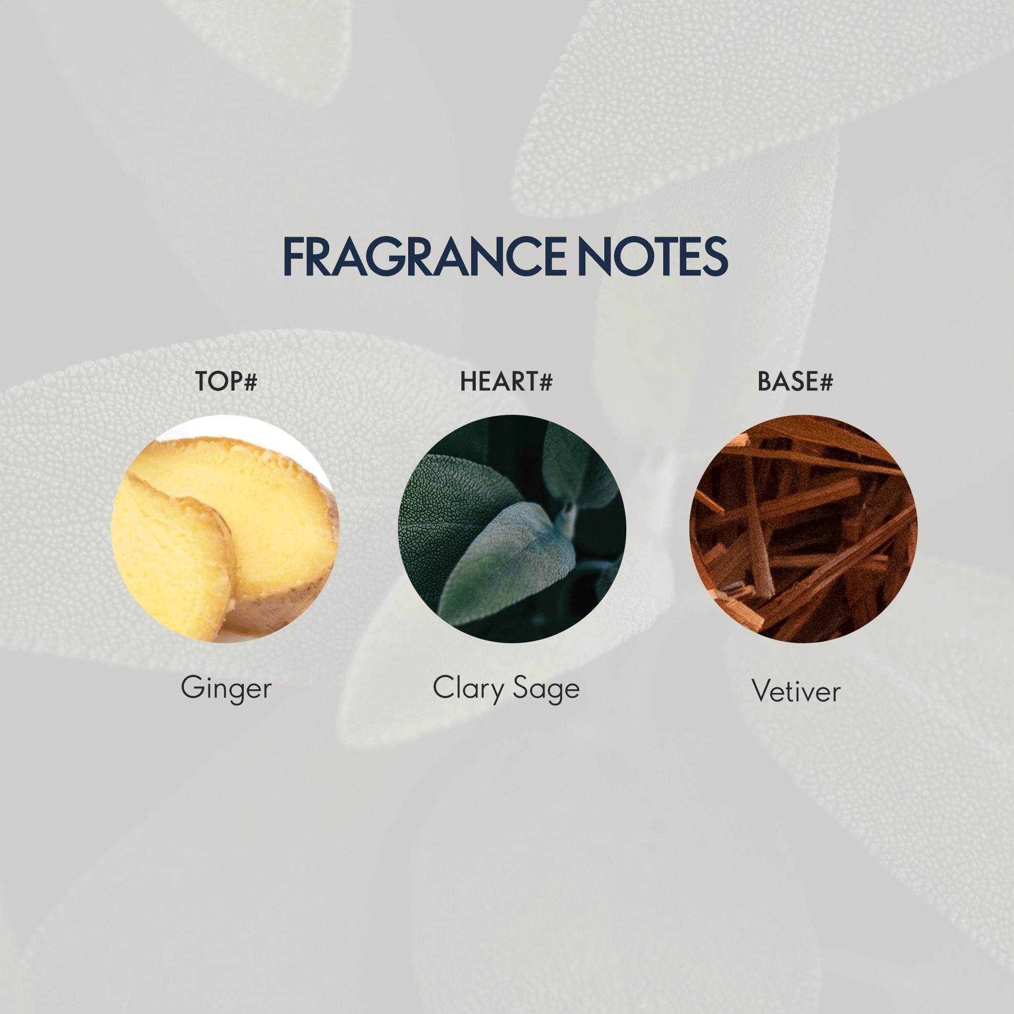 https://media-cdn.oriflame.com/productImage?externalMediaId=product-management-media%2fProducts%2f44328%2fIN%2f44328_4.png&id=20724716&version=2