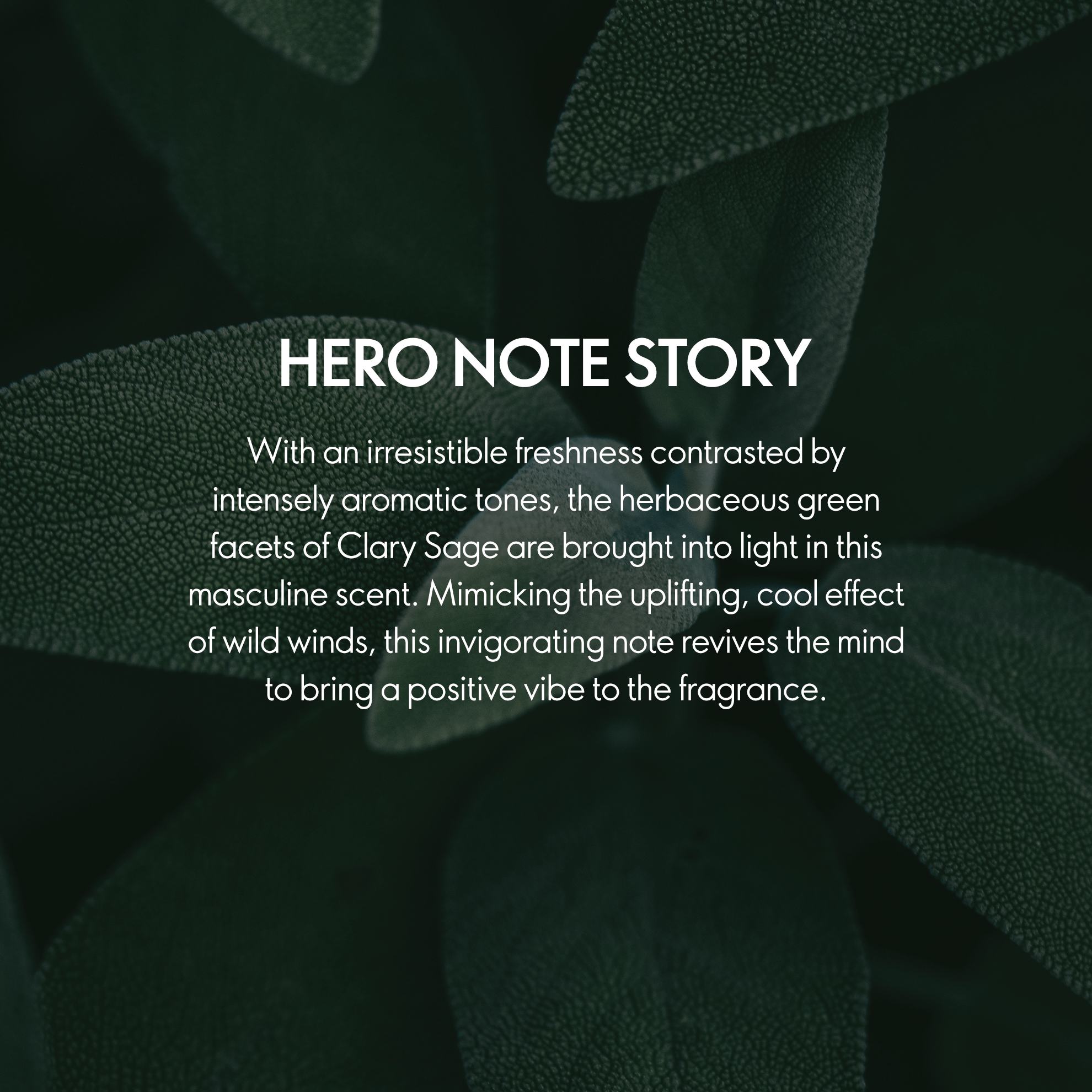https://media-cdn.oriflame.com/productImage?externalMediaId=product-management-media%2fProducts%2f44328%2fIN%2f44328_5.png&id=20724717&version=2